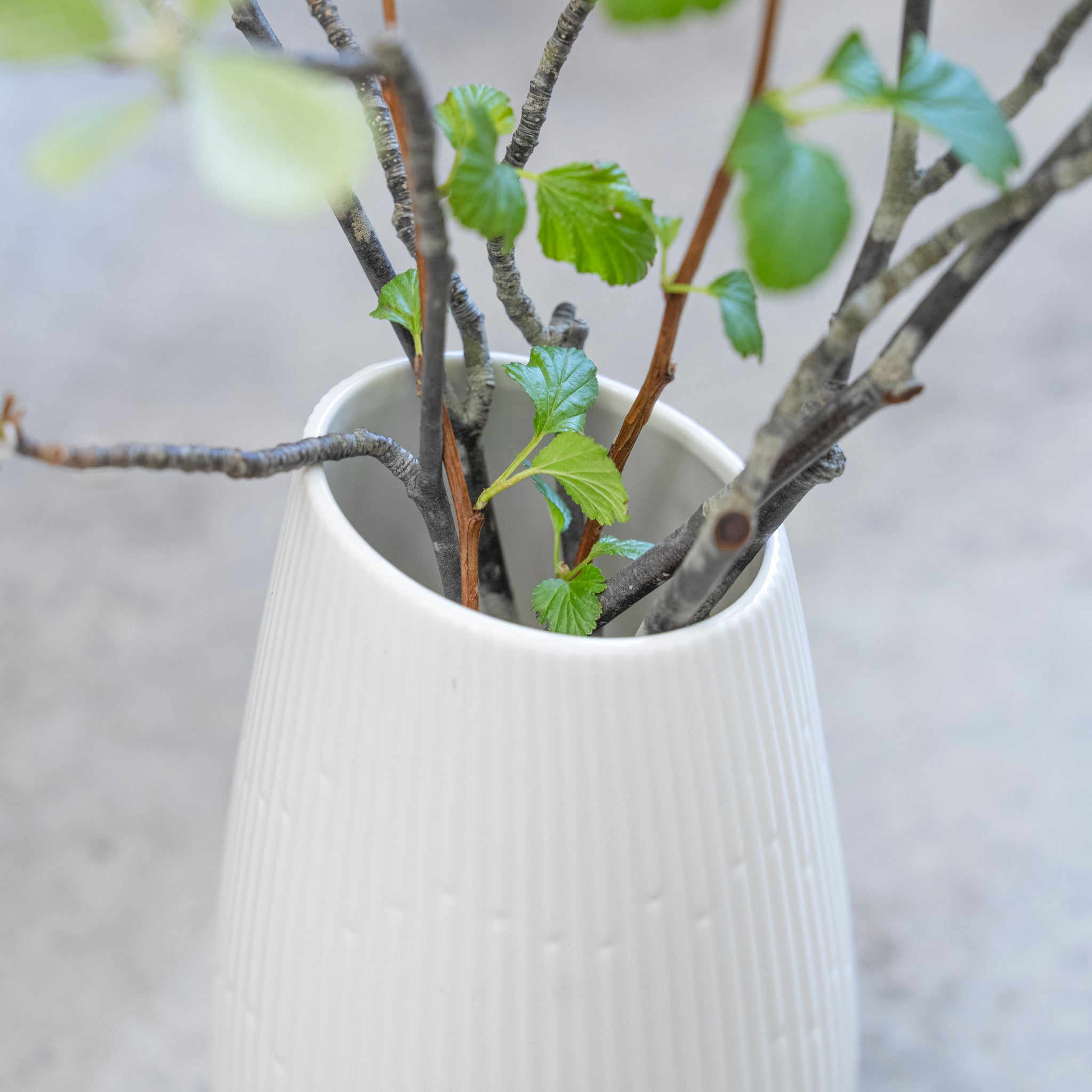 Rhythm ｜ 乳白色のドロップ型小さめ花器