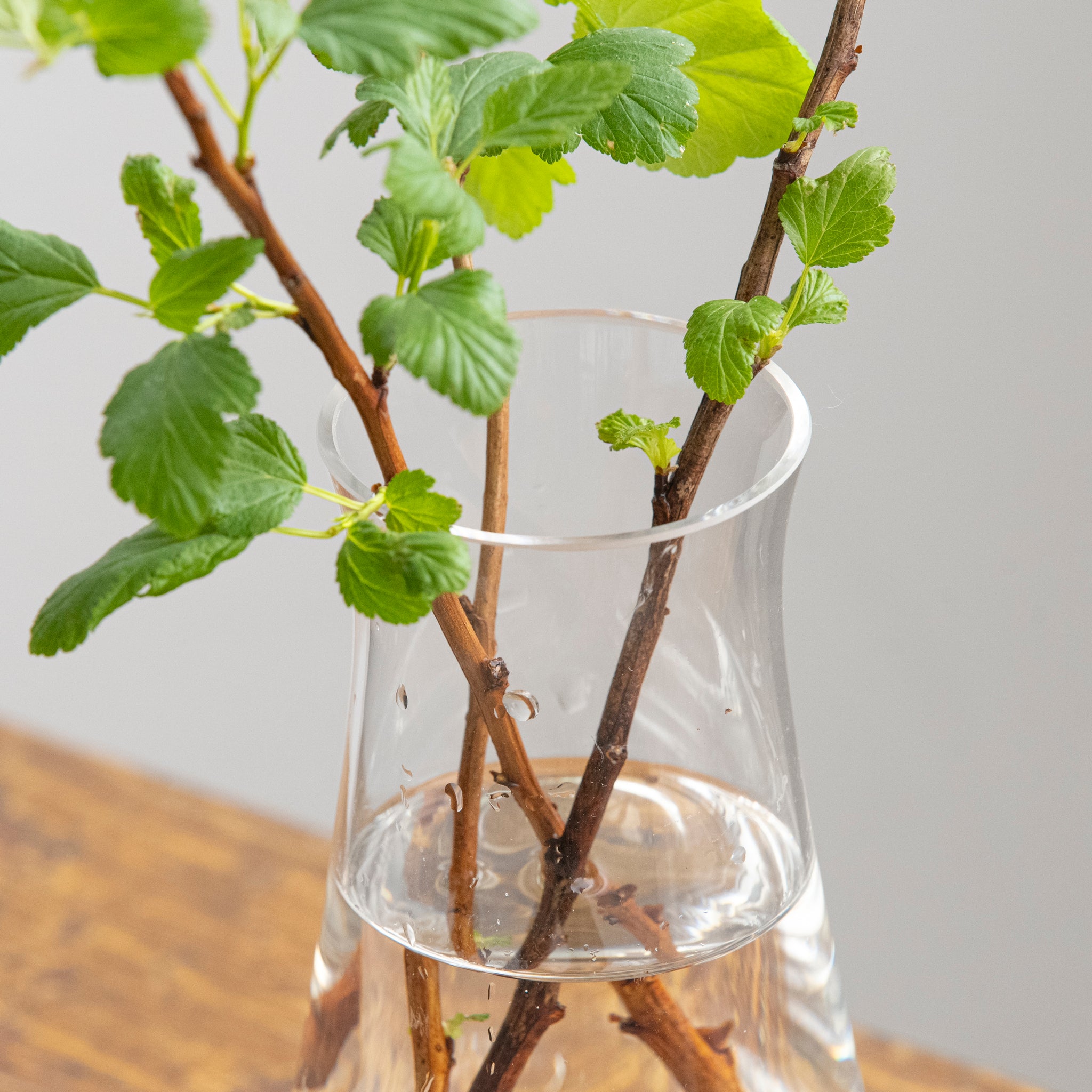 tsubomi mini ｜ 暮らしになじむシンプルなガラス花器