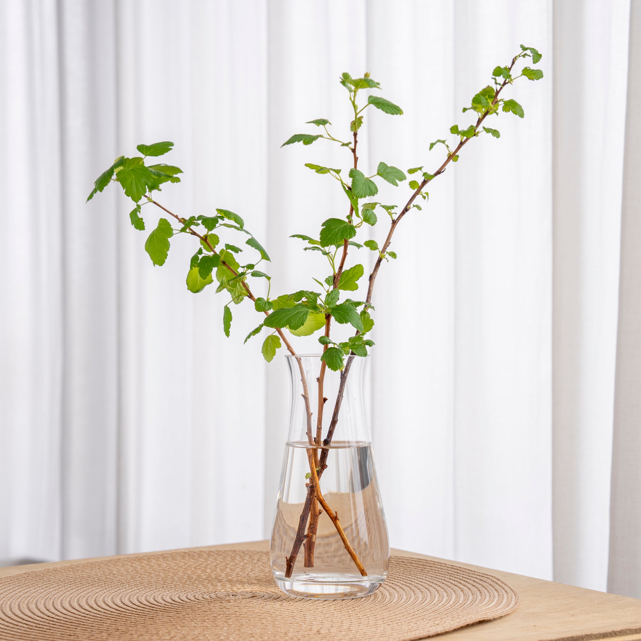 tsubomi mini ｜ 暮らしになじむシンプルなガラス花器