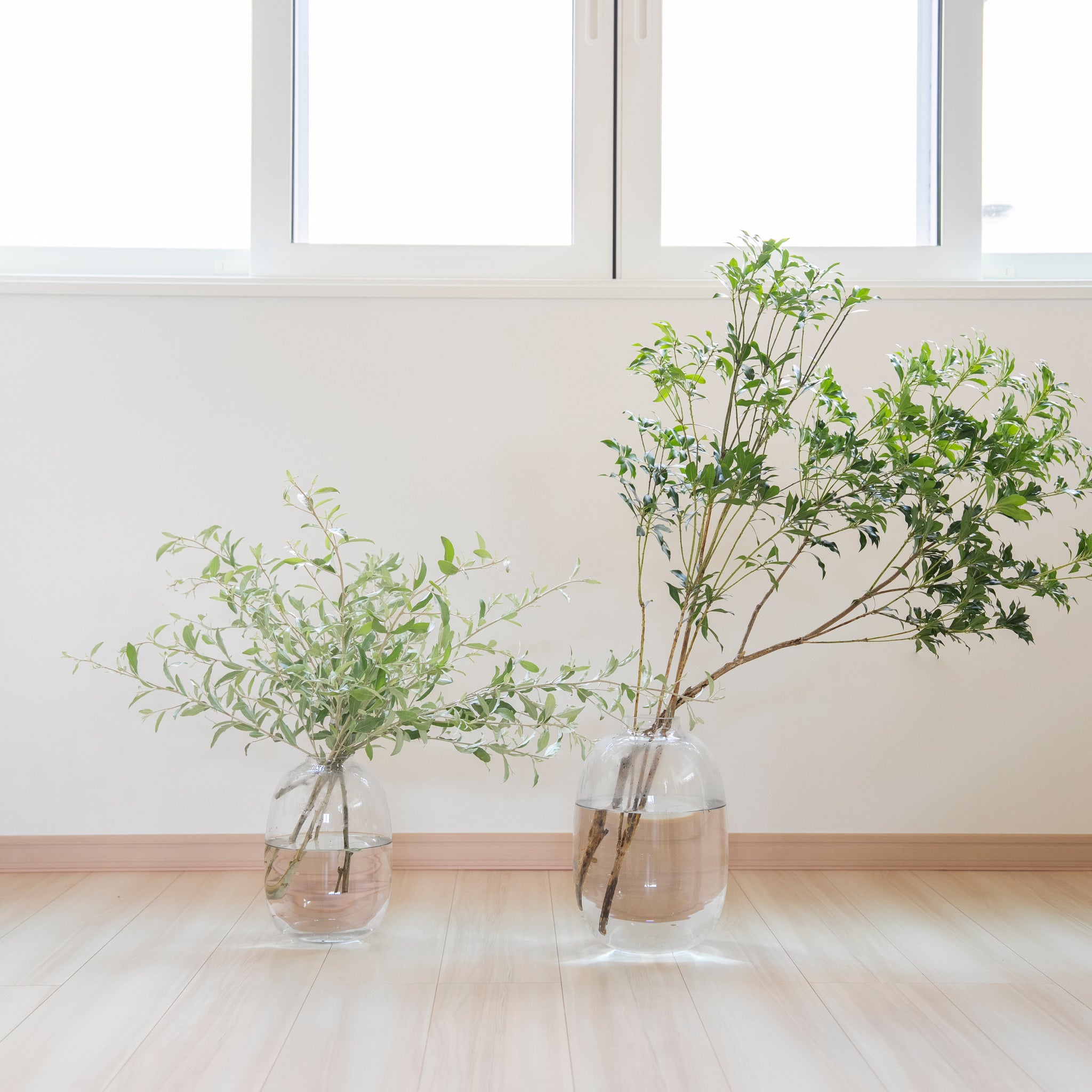 Balloon ｜ ぽわんと愛らしいフォルムの枝もの花器