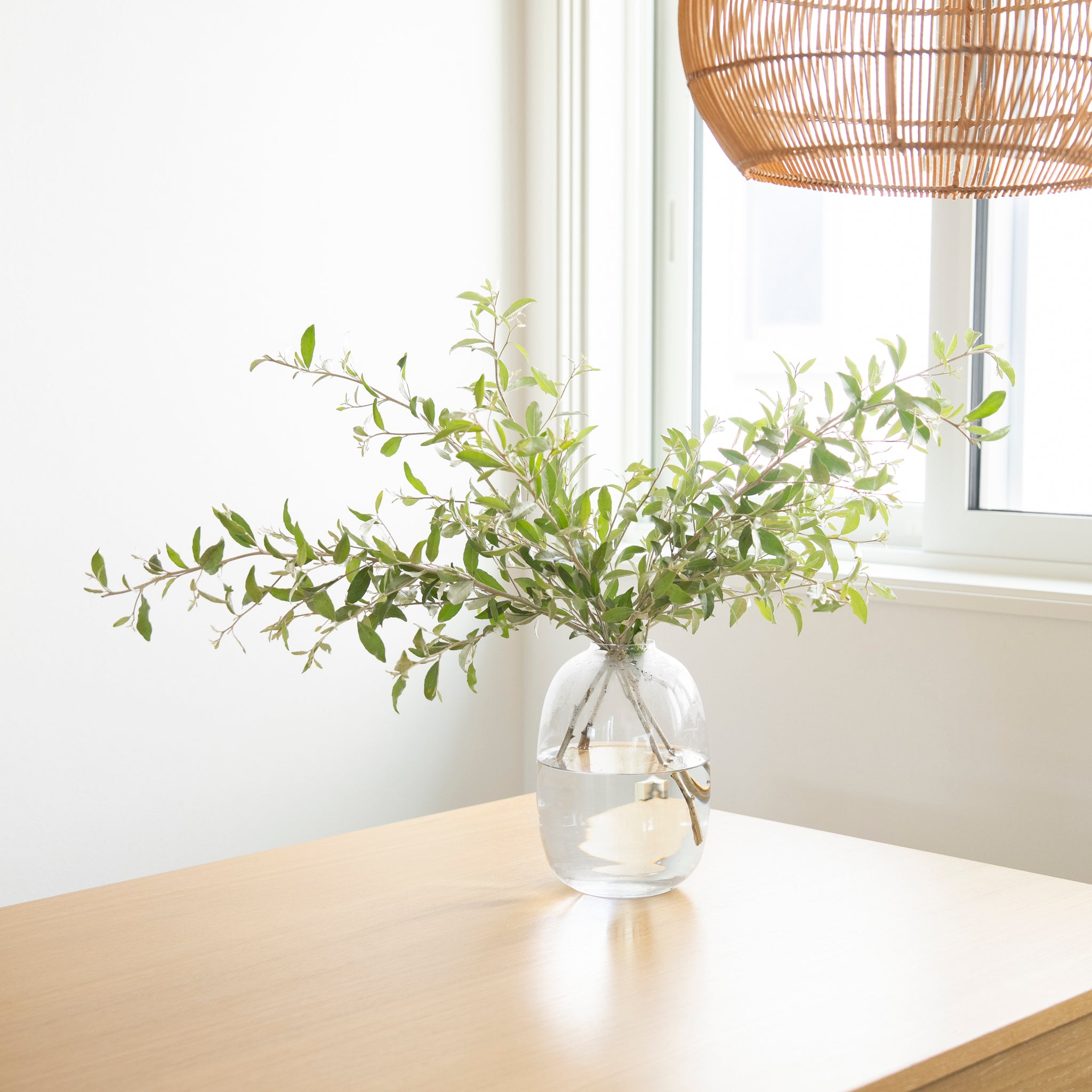 Balloon ｜ ぽわんと愛らしいフォルムの枝もの花器