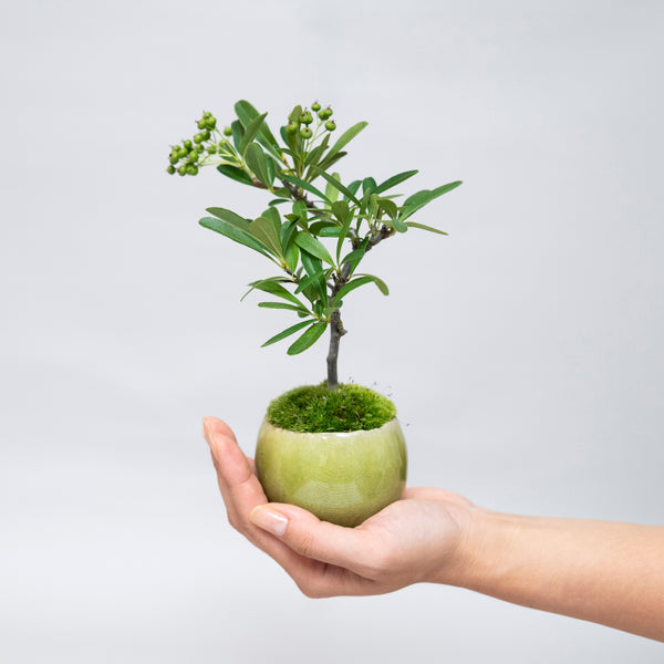 20250820__72-26_310f7037-e695-