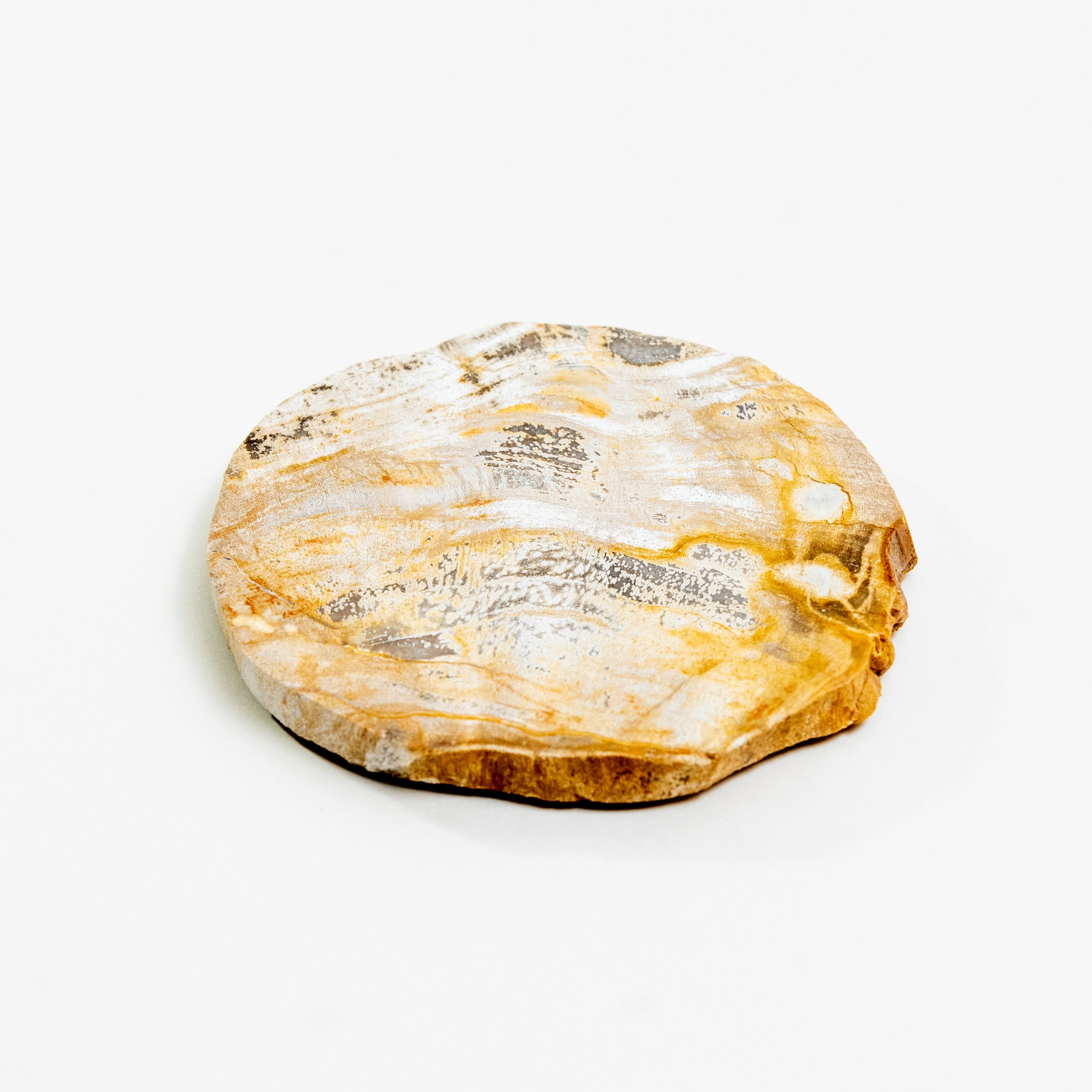 WOOD COASTER ｜ 永い時が育んだ珪化木のコースター