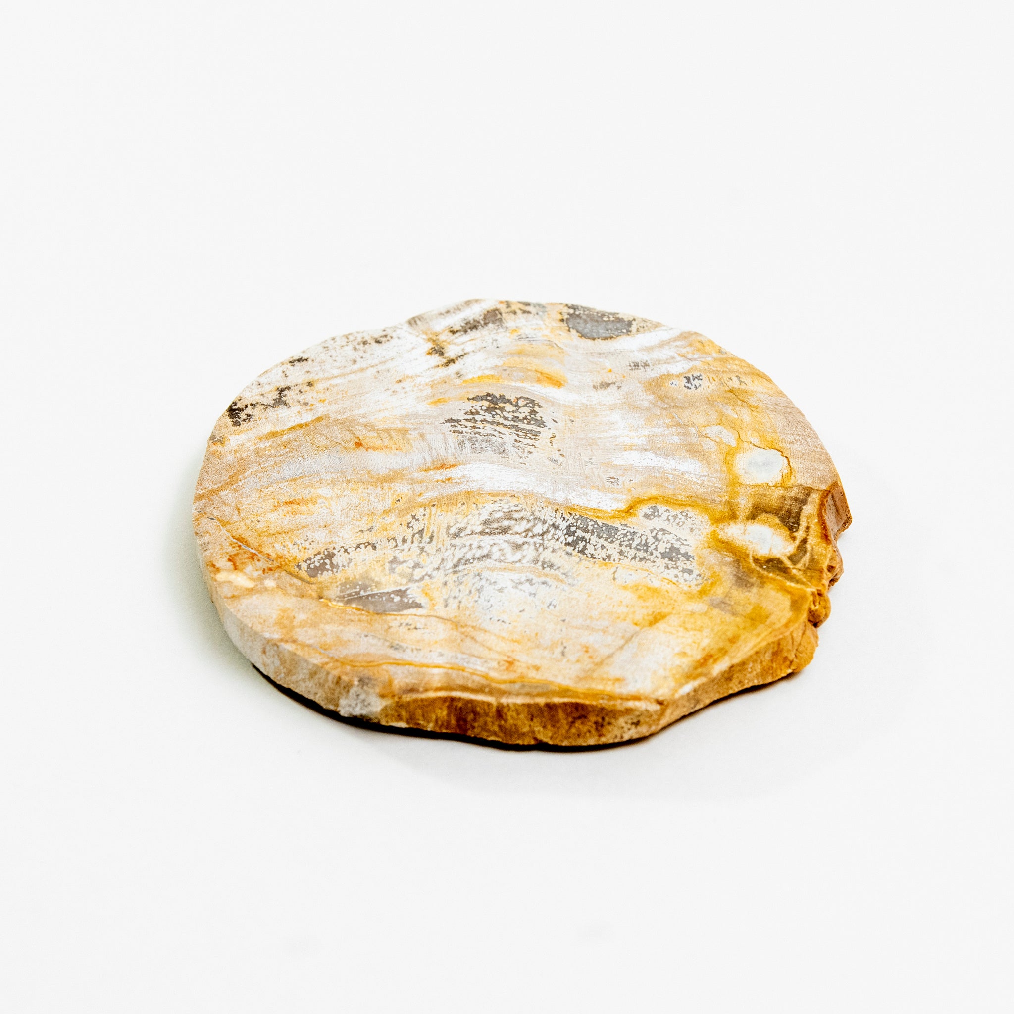 WOOD COASTER ｜ 永い時が育んだ珪化木のコースター