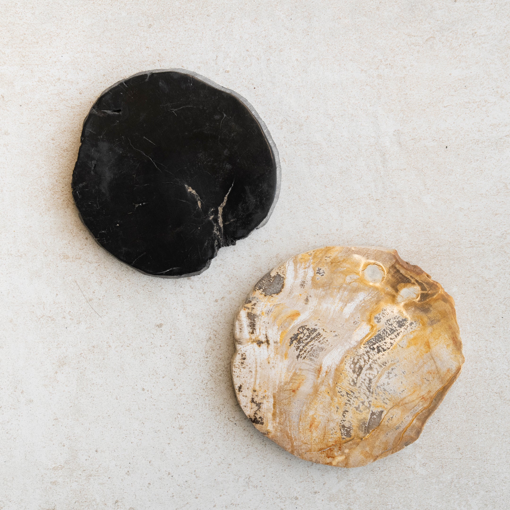 WOOD COASTER ｜ 永い時が育んだ珪化木のコースター