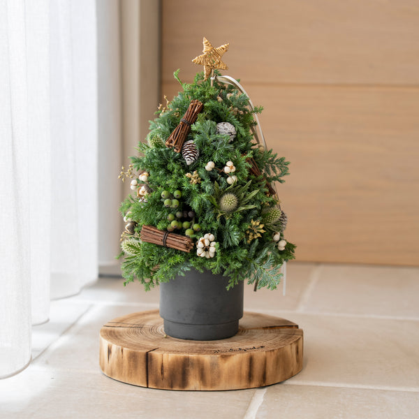 20251014_mini_tree72-15_grande