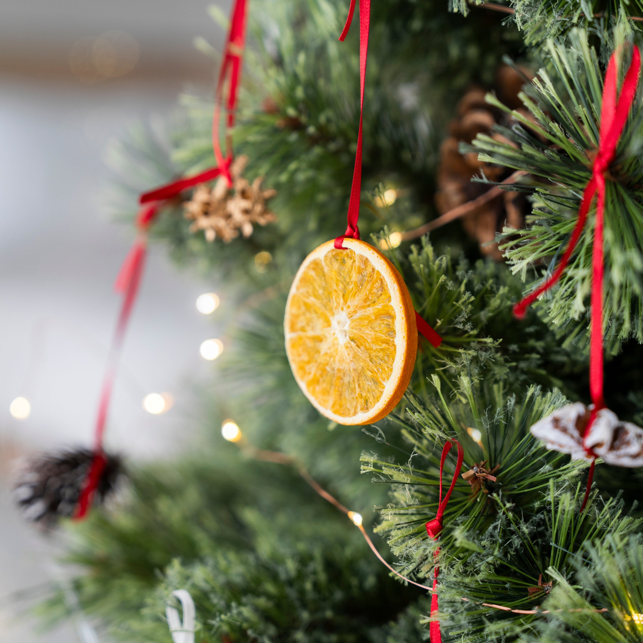 【受注販売】ナチュラルオーナメント（20個セット） ｜ ドライ素材を使ったツリー飾り