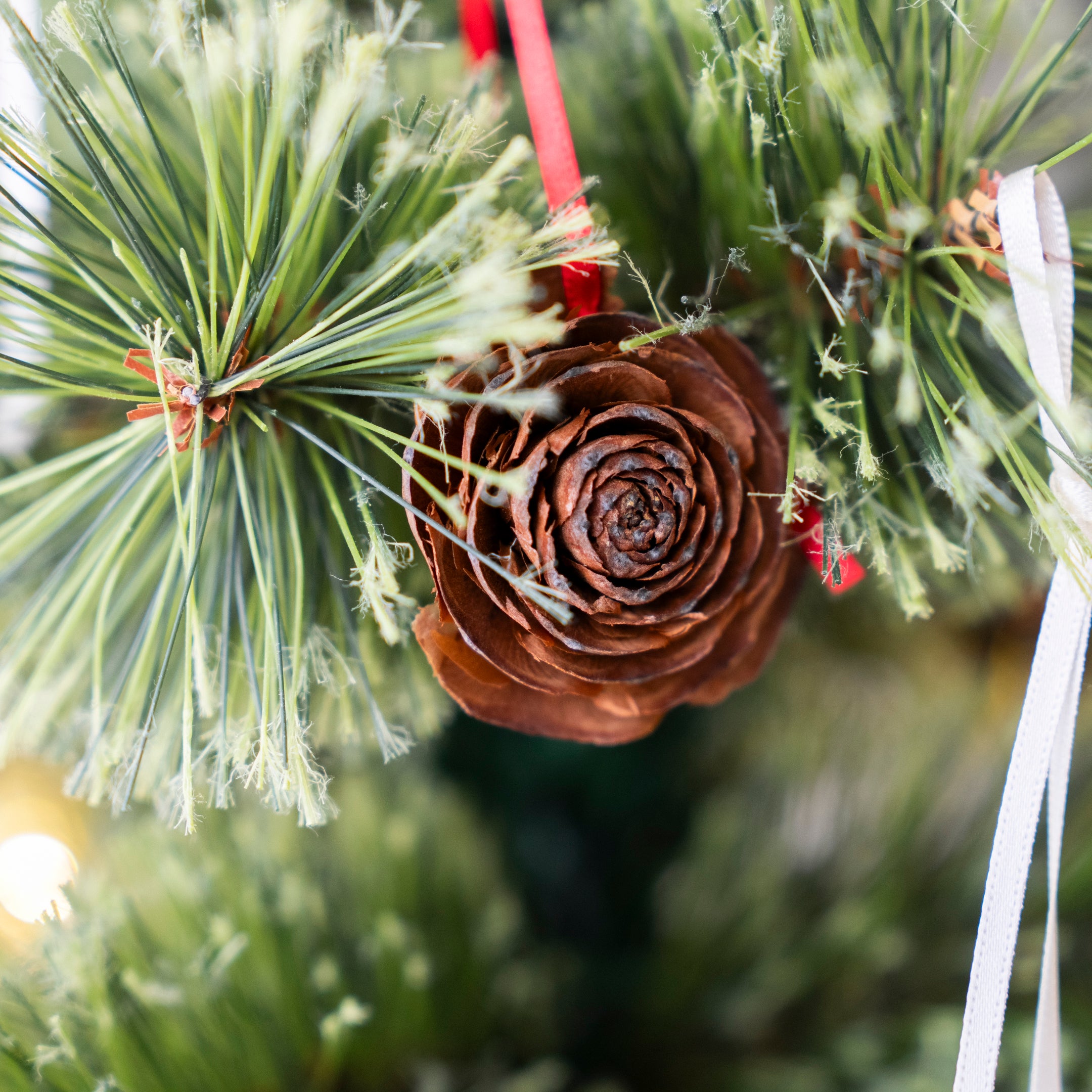 【受注販売】ナチュラルオーナメントセット ｜ ドライ素材を使ったツリー飾り