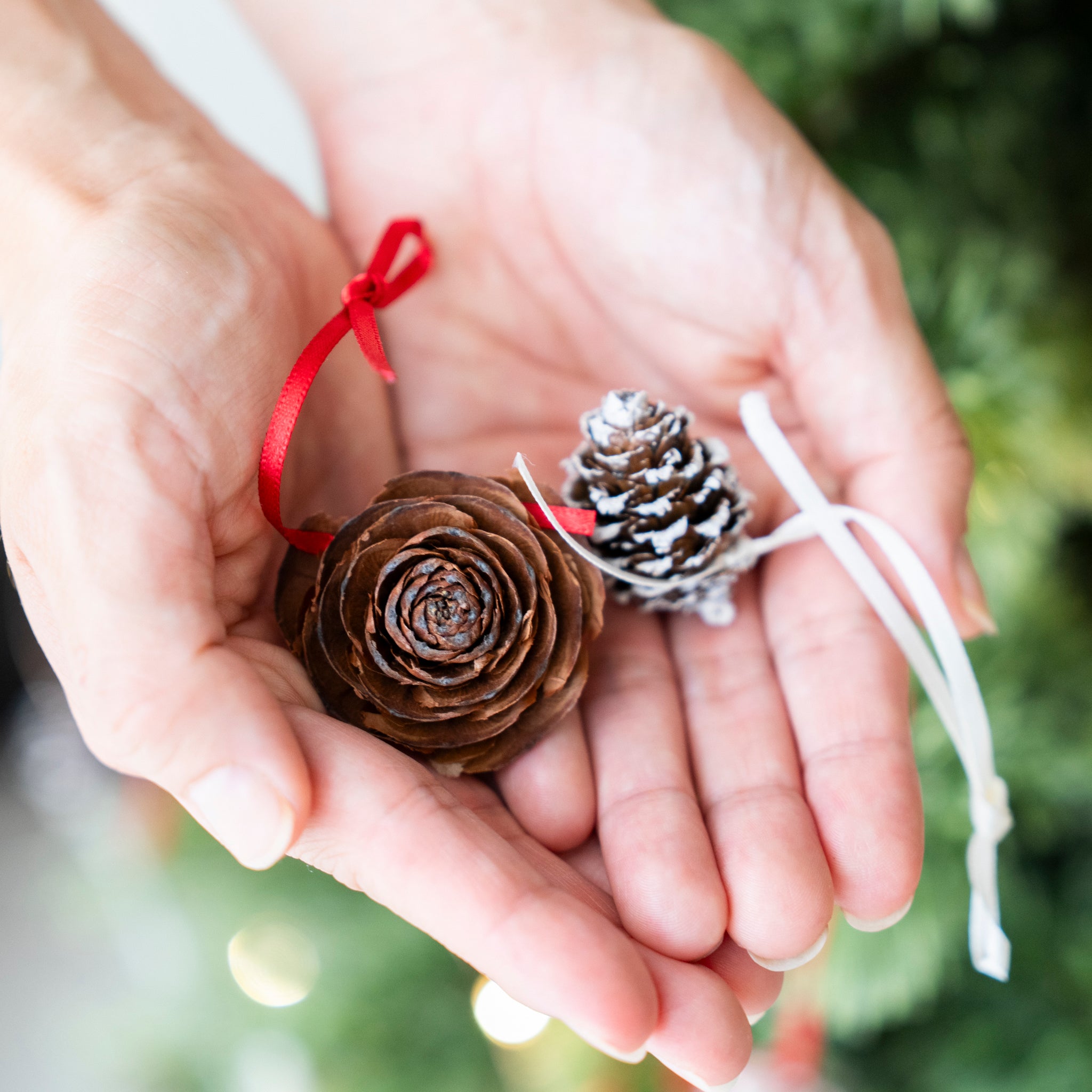 【受注販売】ナチュラルオーナメント（20個セット） ｜ ドライ素材を使ったツリー飾り