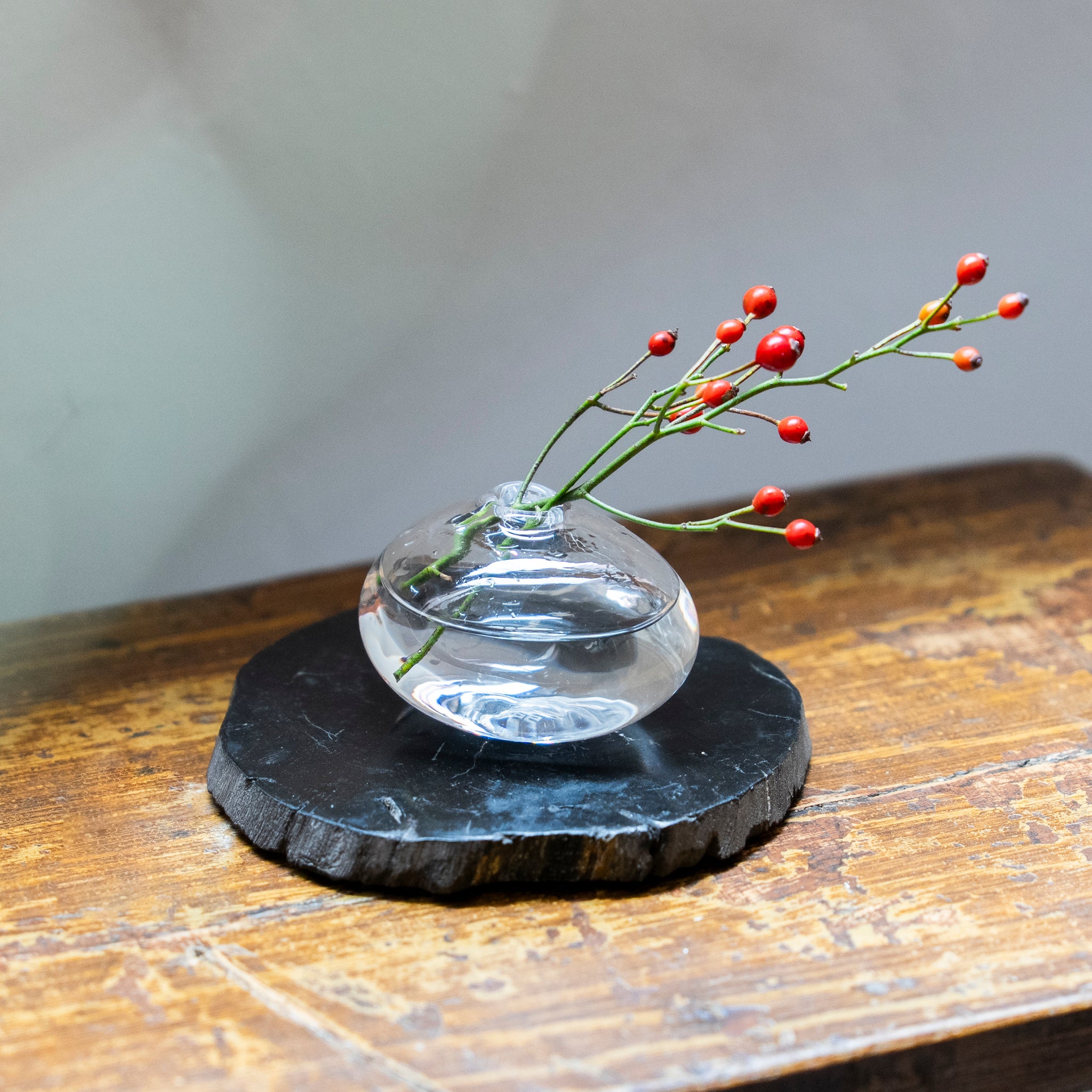 WOOD COASTER ｜ 永い時が育んだ珪化木のコースター