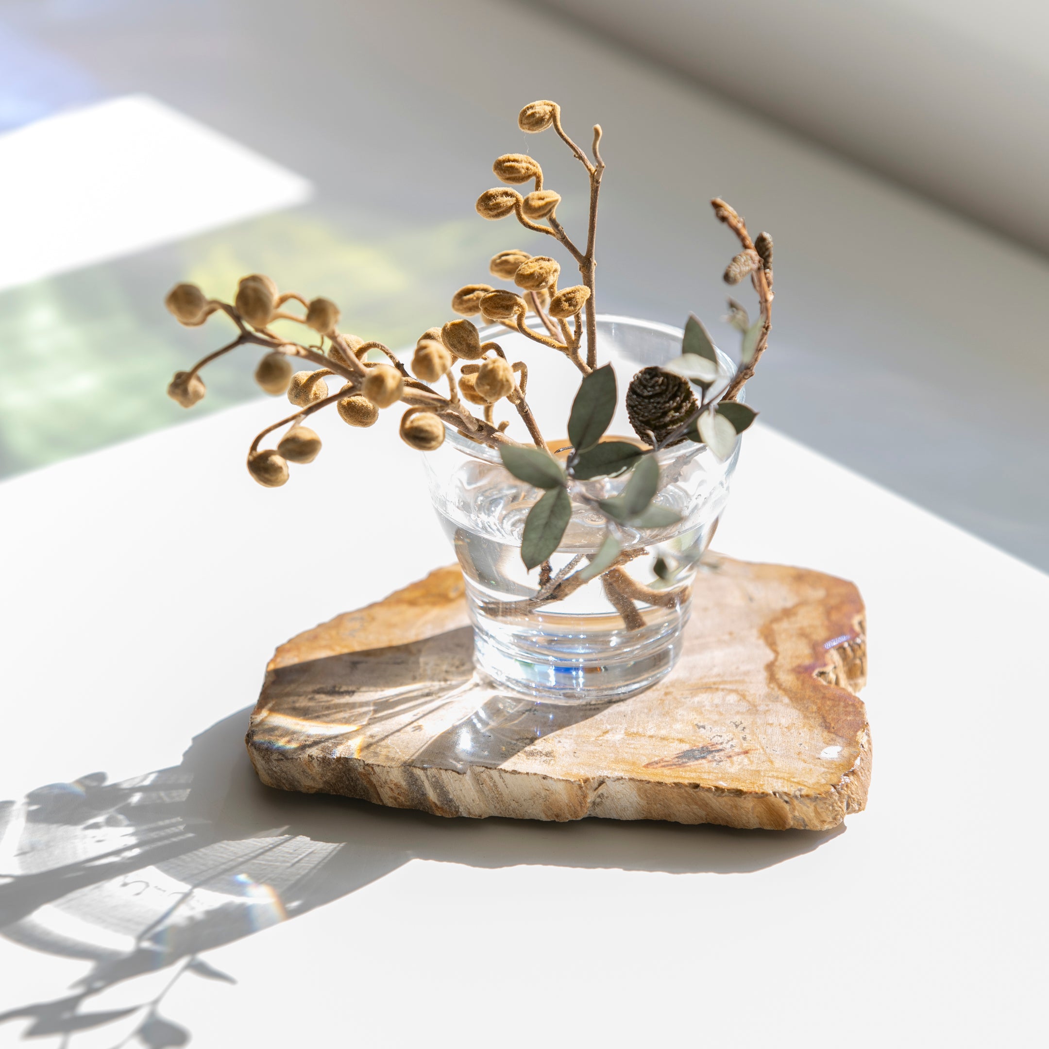 珪化木 超美品 20cm×5cm 625g 珪化木 超美品 20cm×5cm 625g 珪化木096｜恐竜・化石グッズの専門店 ふ