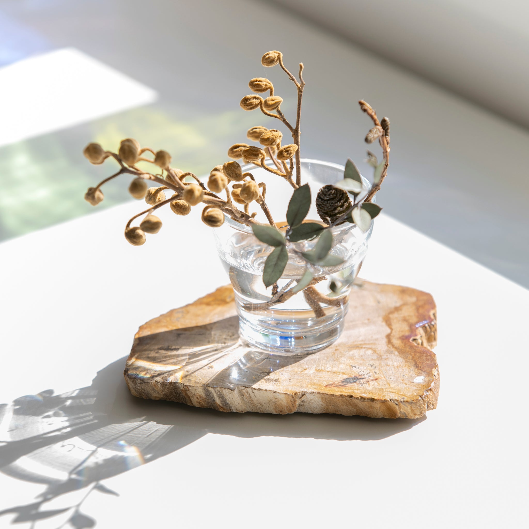 WOOD COASTER ｜ 永い時が育んだ珪化木のコースター