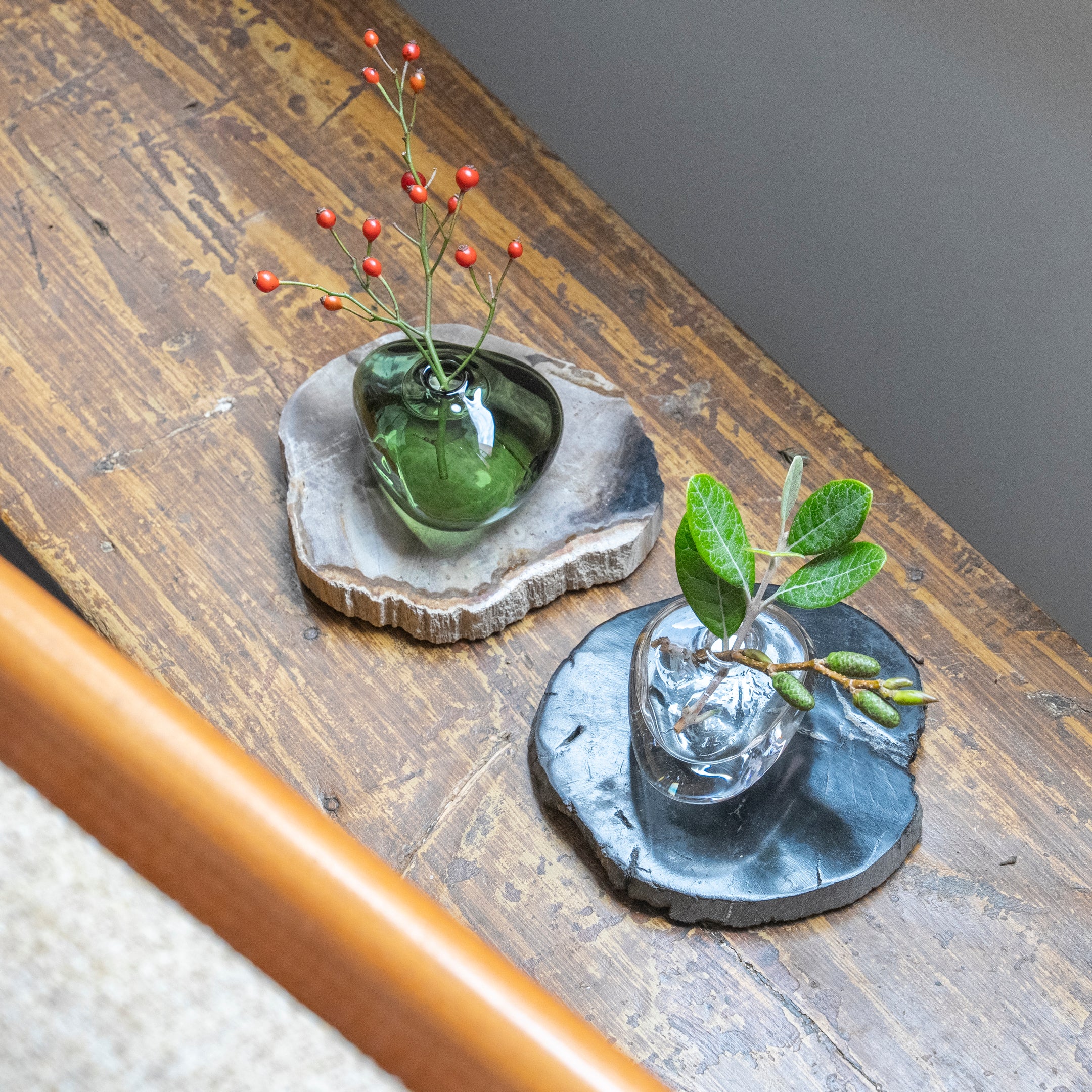 WOOD COASTER ｜ 永い時が育んだ珪化木のコースター