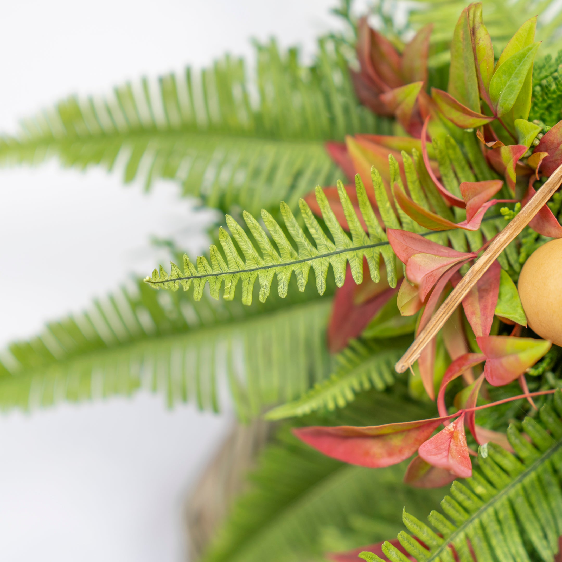 【数量限定】冬の枝ものでつくった正月飾り（生花）