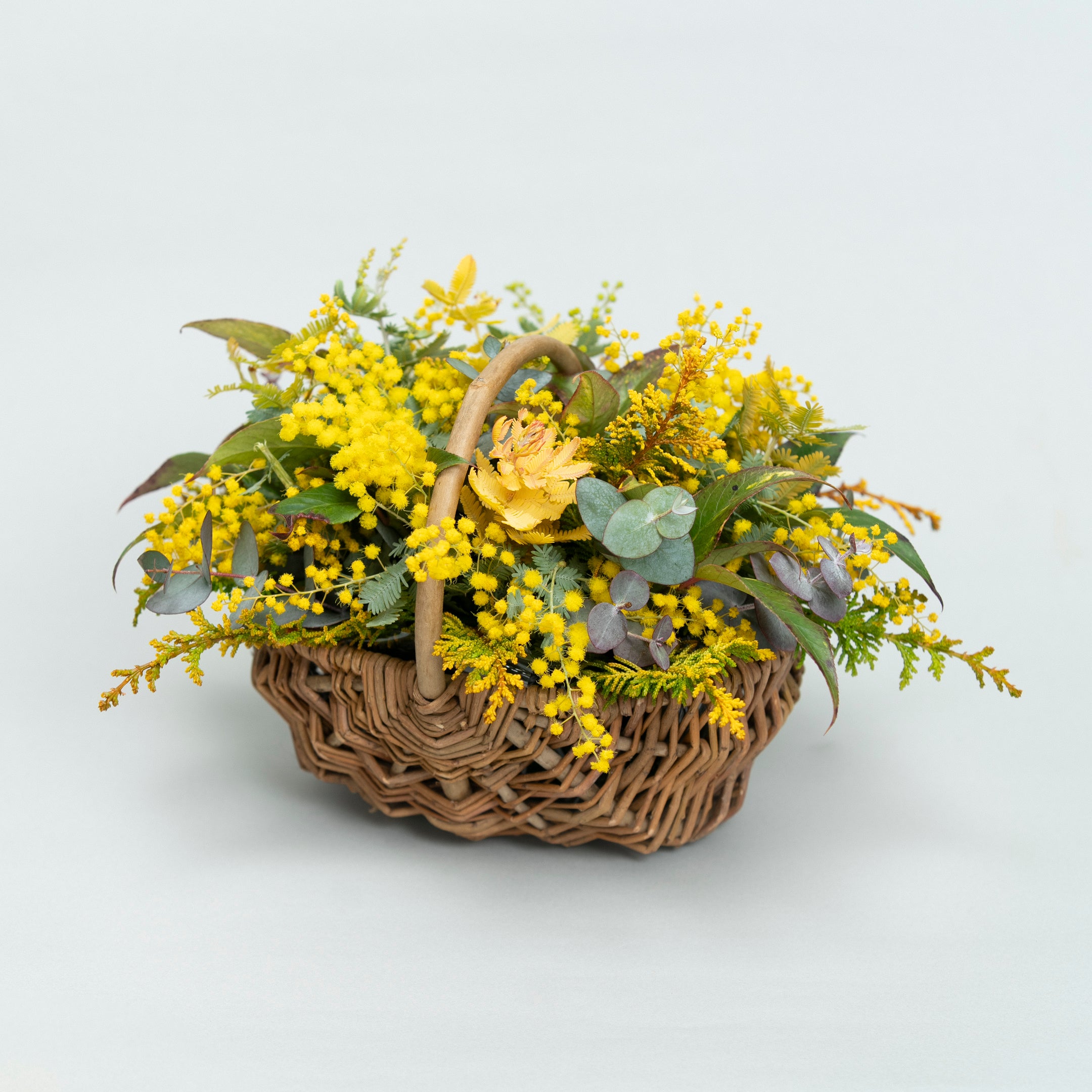 受注販売】早春の枝ものでつくったミモザバスケット（生花）