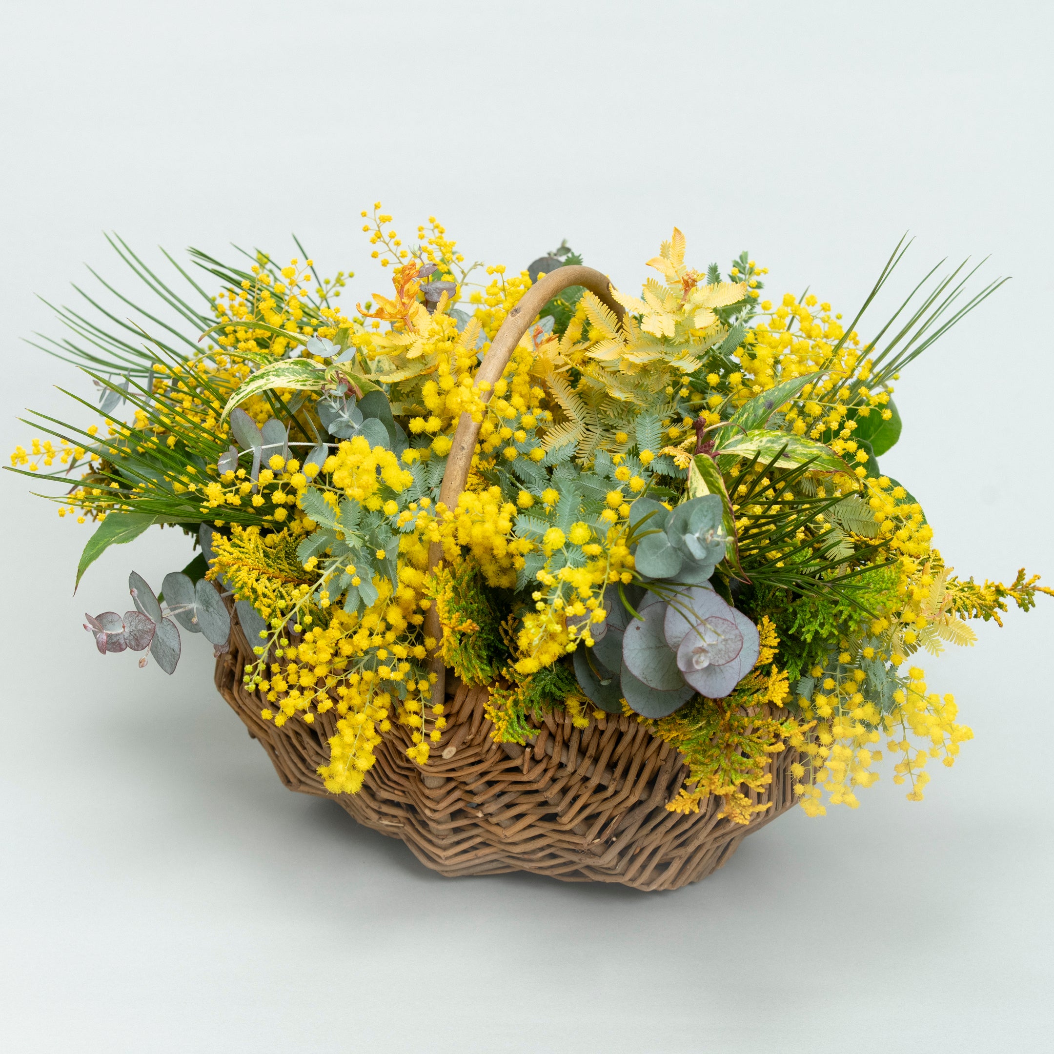 【受注販売】早春の枝ものでつくったミモザバスケット（生花）