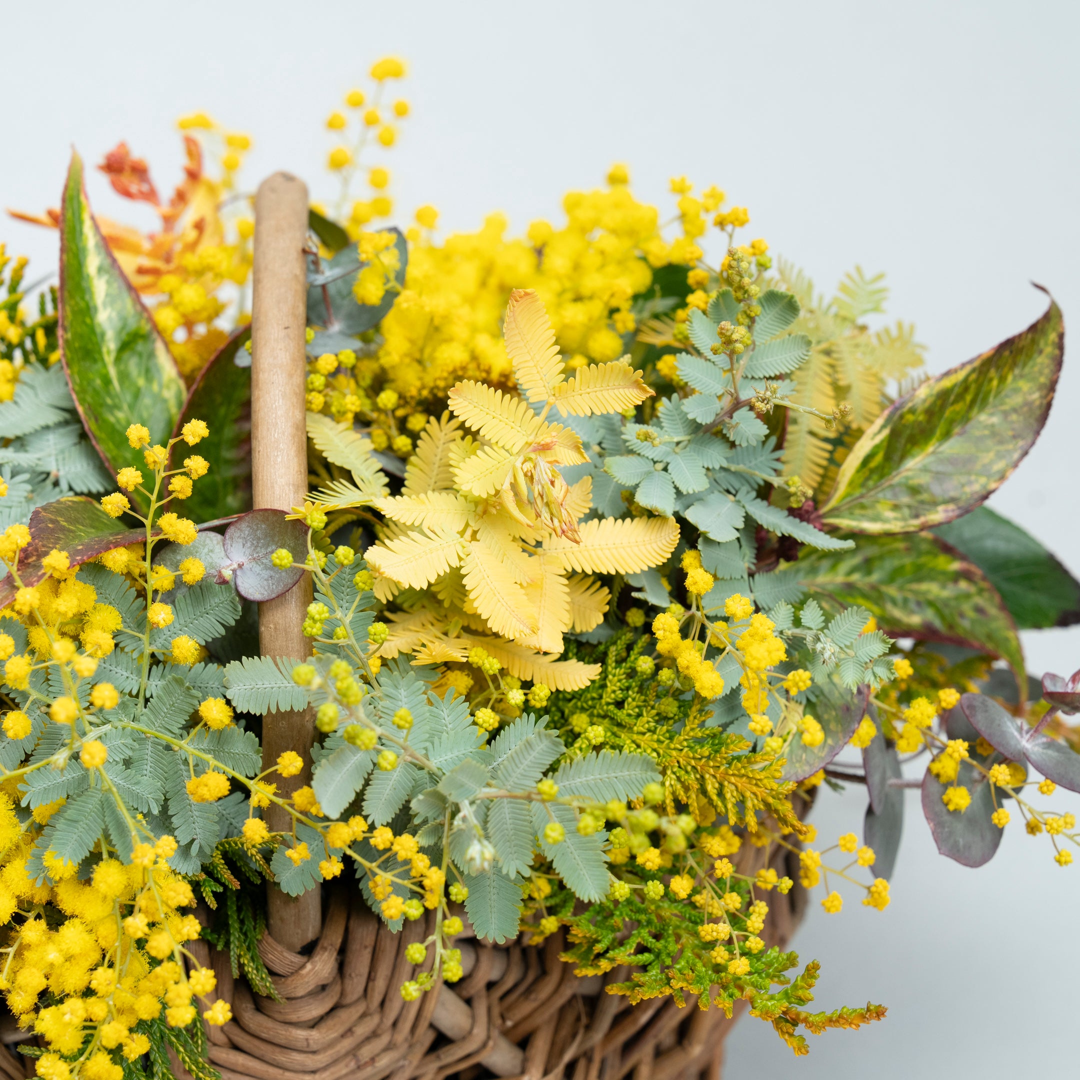 【受注販売】早春の枝ものでつくったミモザバスケット（生花）