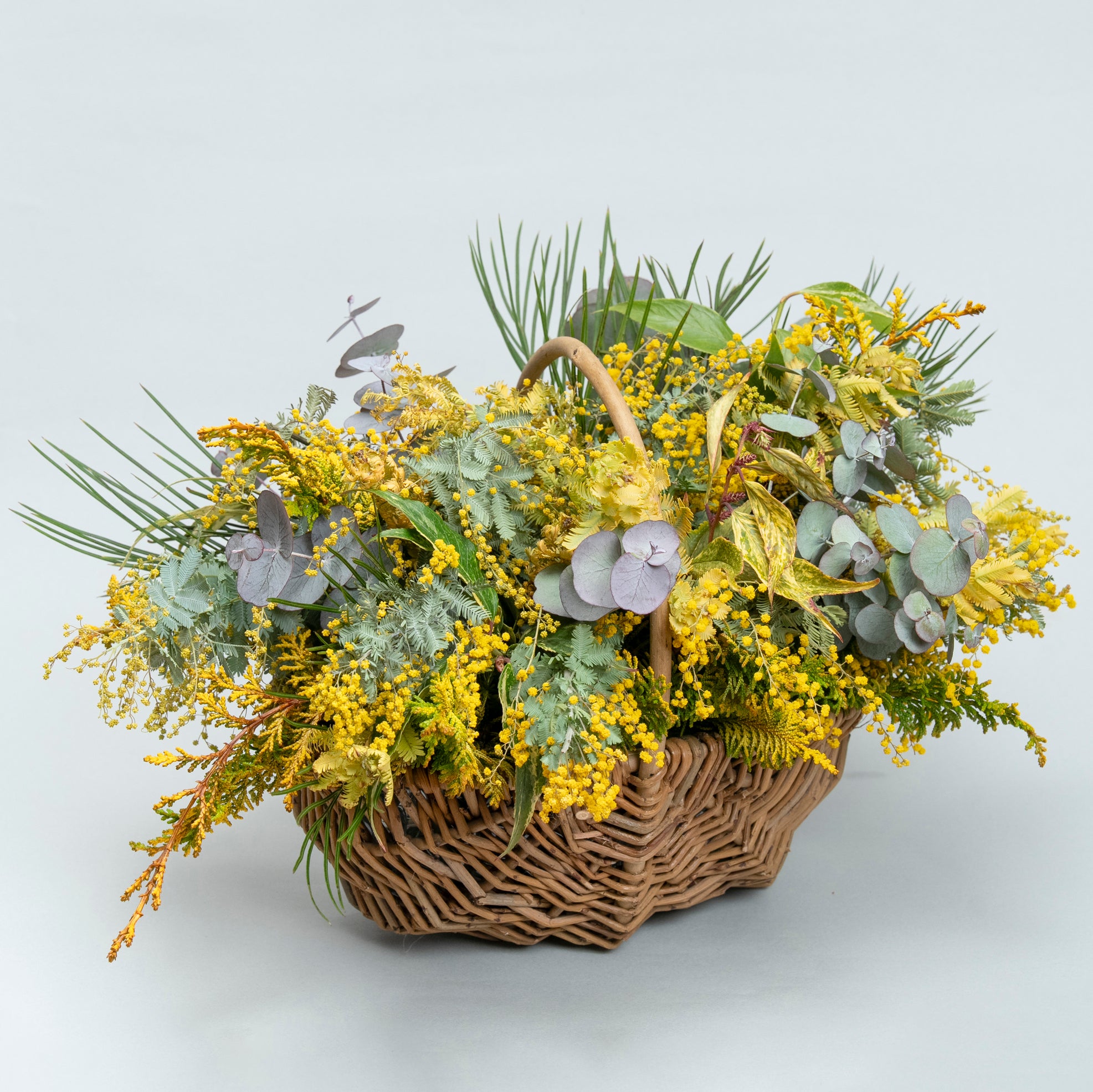 【受注販売】早春の枝ものでつくったミモザバスケット（生花）