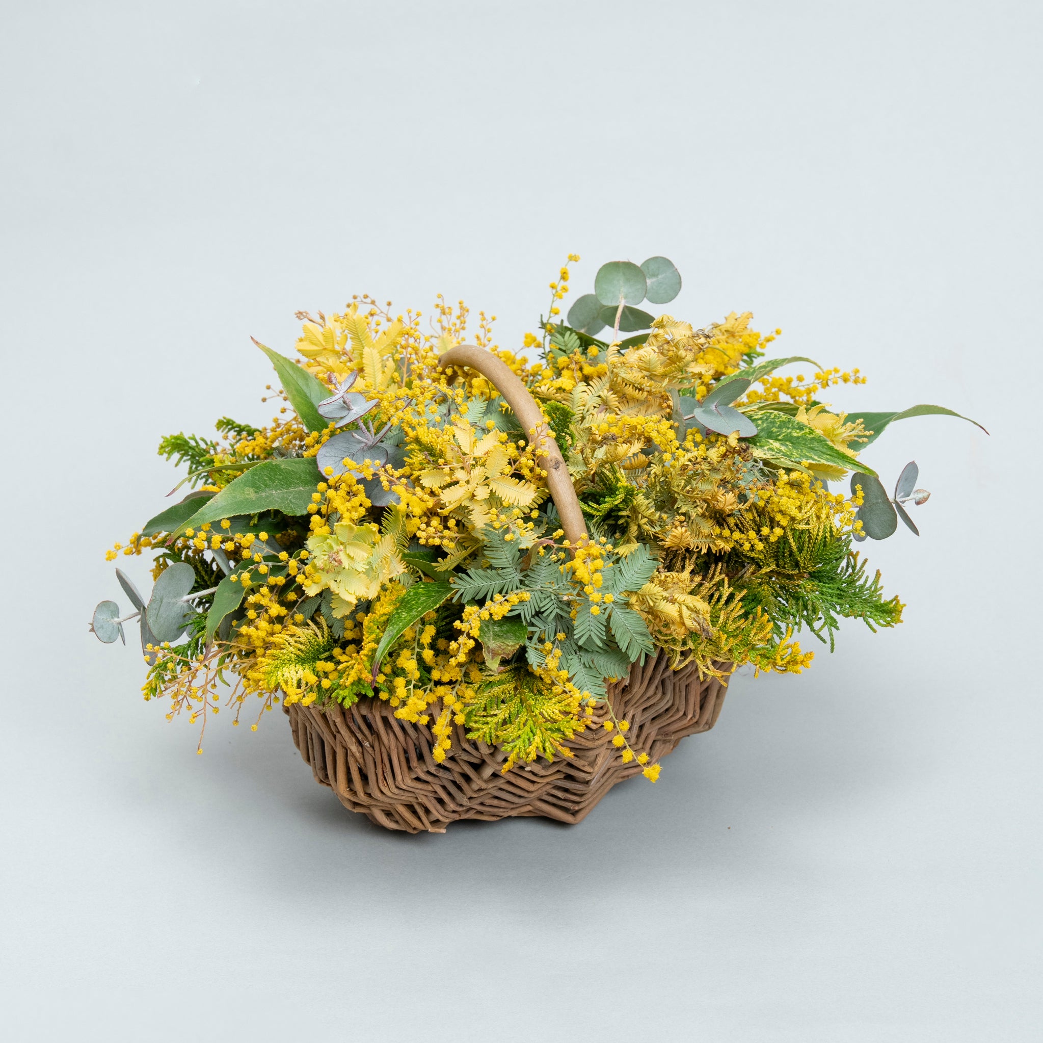 【受注販売】早春の枝ものでつくったミモザバスケット（生花）