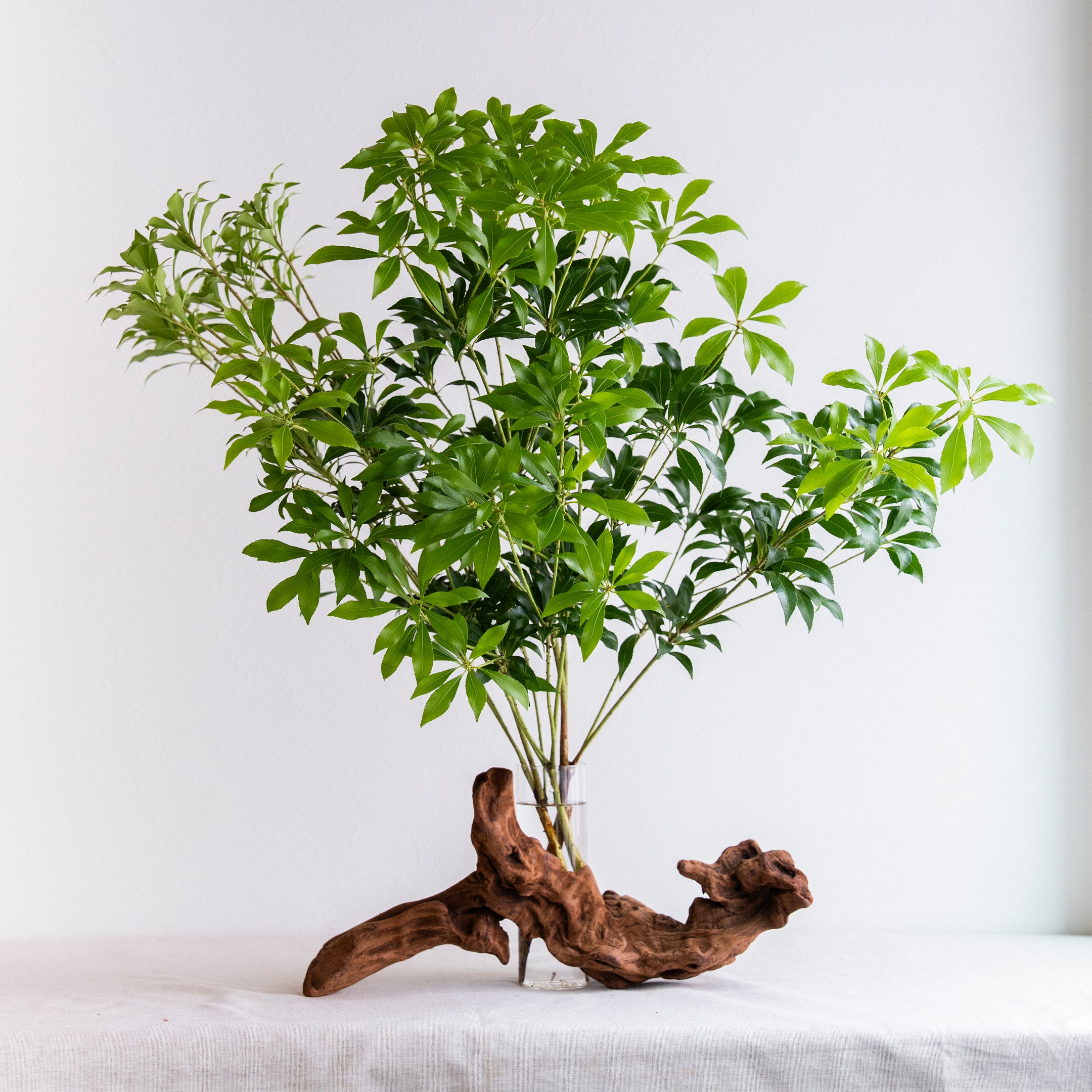 流木花器 KOKU.（高さ15cm）｜自然の造形をそのまま生かした一点物の花器