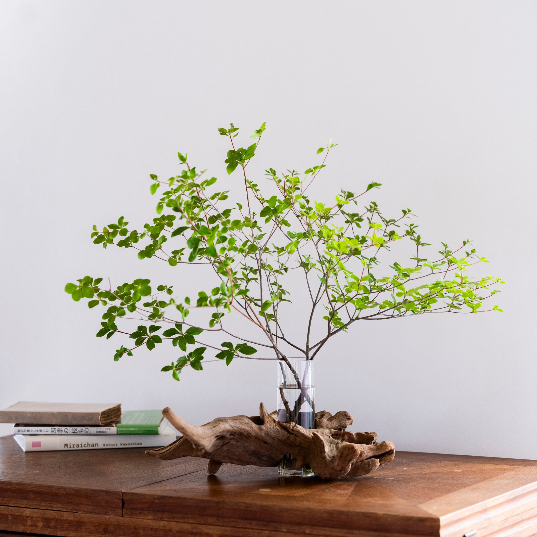 流木花器 KOKU.（高さ15cm）｜自然の造形をそのまま生かした一点物の花器