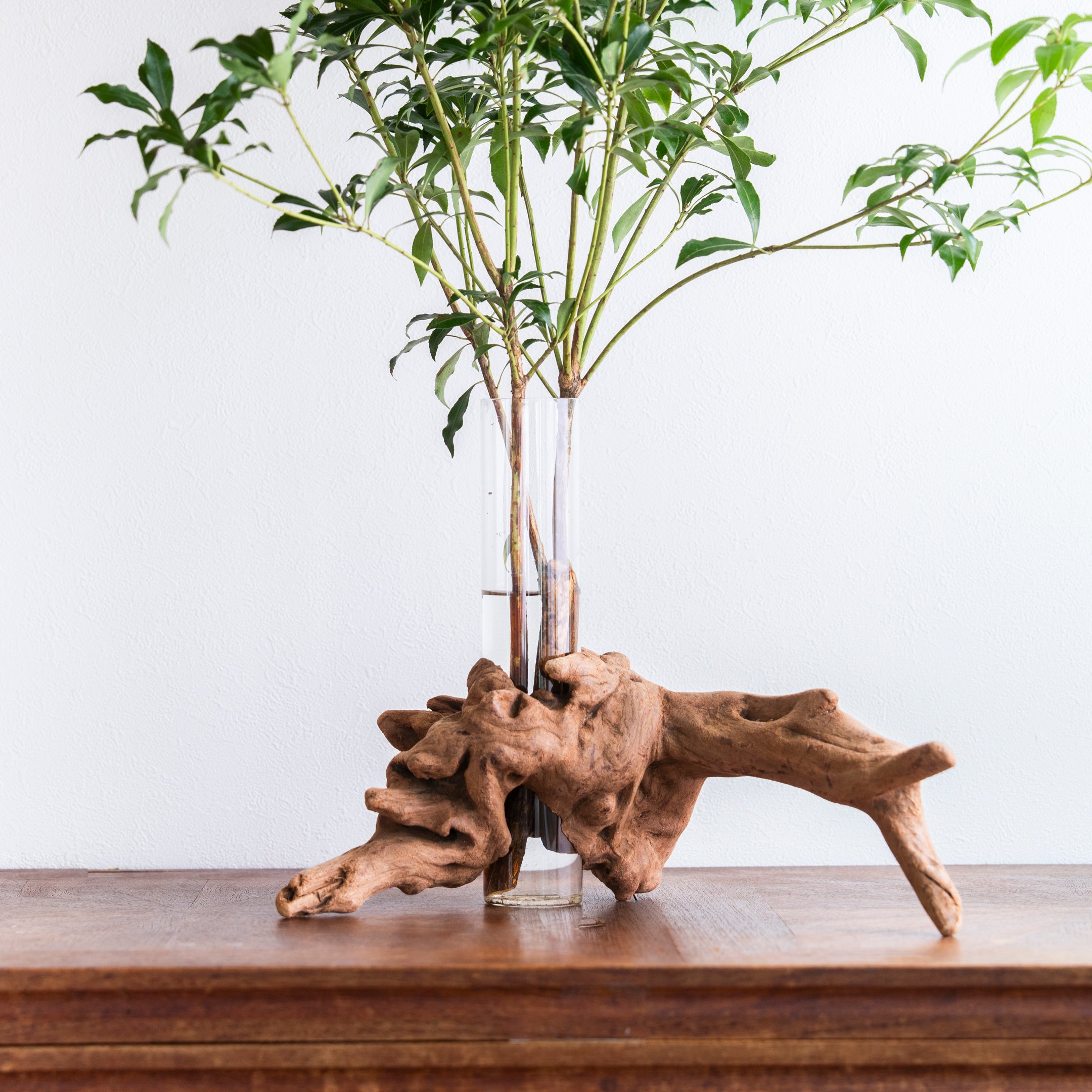 流木花器 KOKU. （高さ25cm）｜60cmの枝ものも美しく飾れる一点物の花器