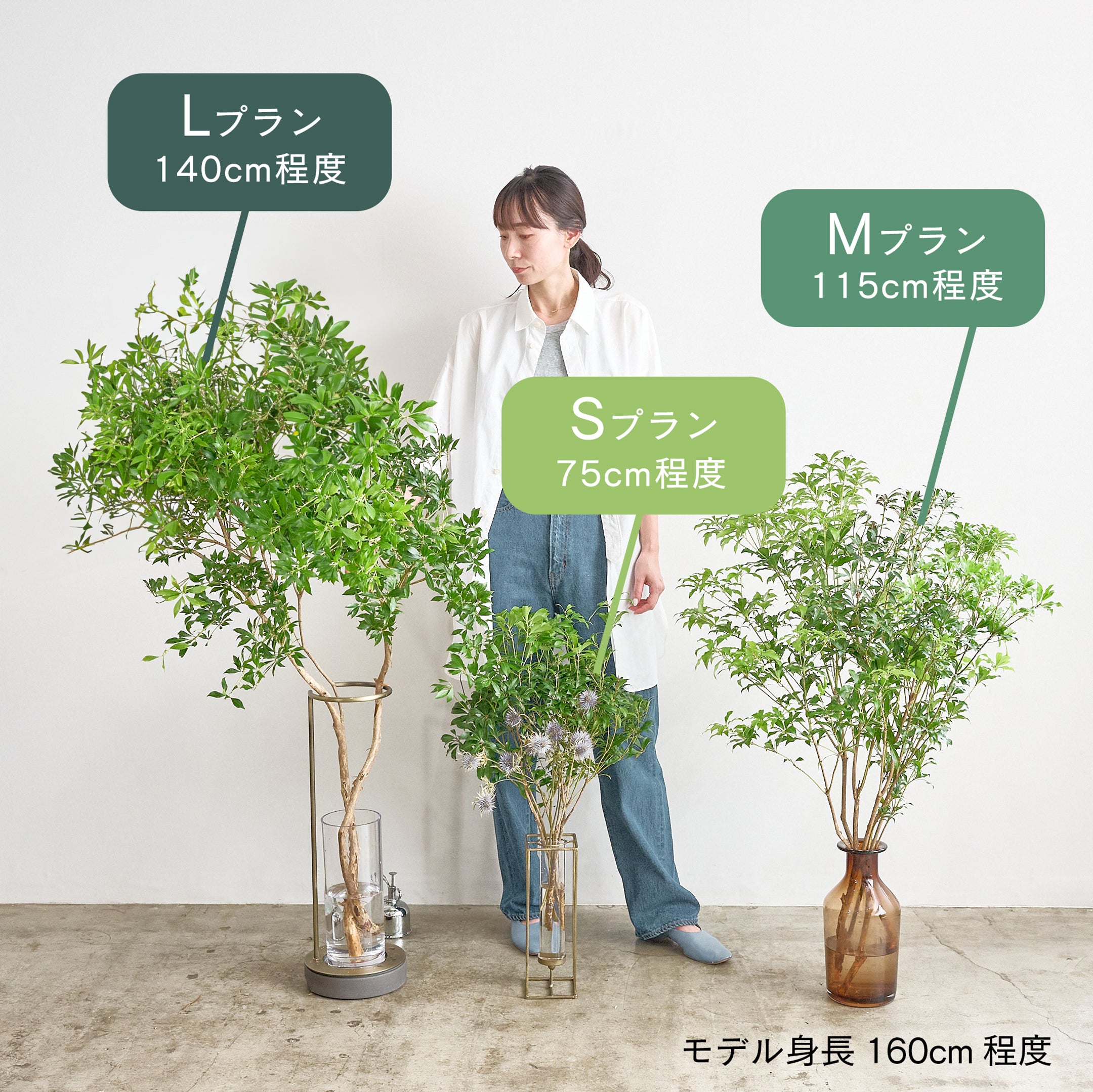 枝もの定期便（サブスク）｜1回3,300円〜送料込み｜SiKiTO