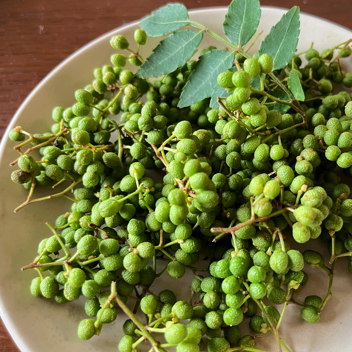 ジャパニーズハーブエール山椒 ｜ ピリっと爽やかなクラフトビール