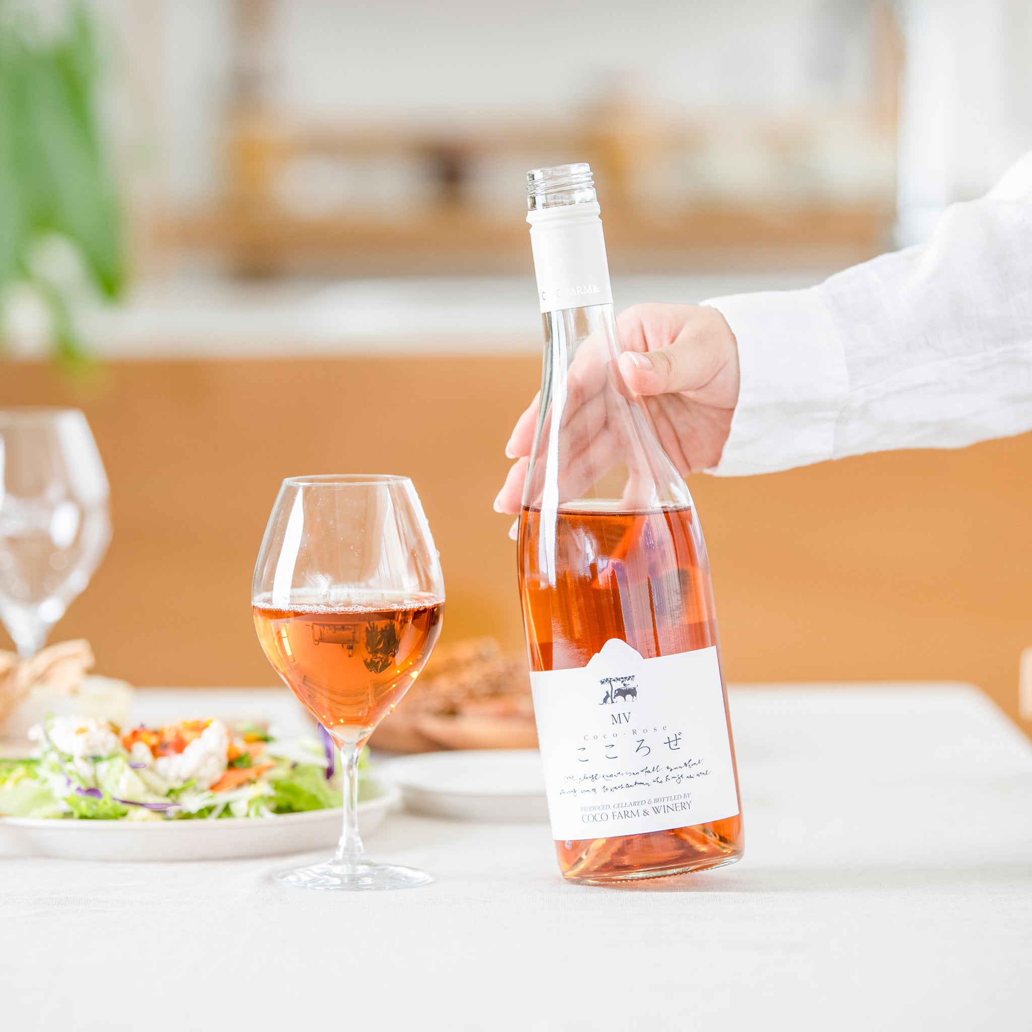 MV Cocorose | A charming and capable rosé with a fruity aroma