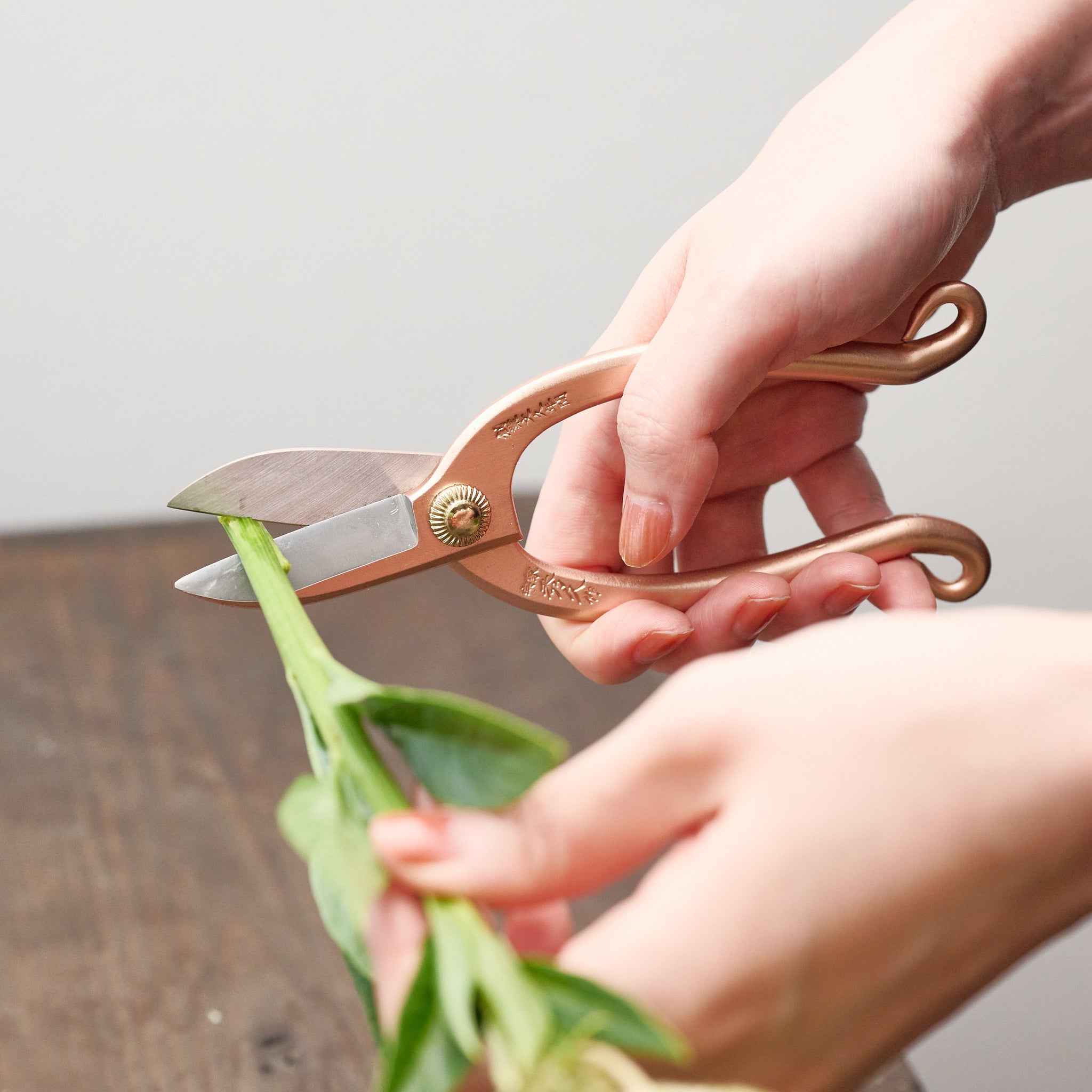 外山刃物 ｜ 切れ味抜群、一生ものになる花鋏