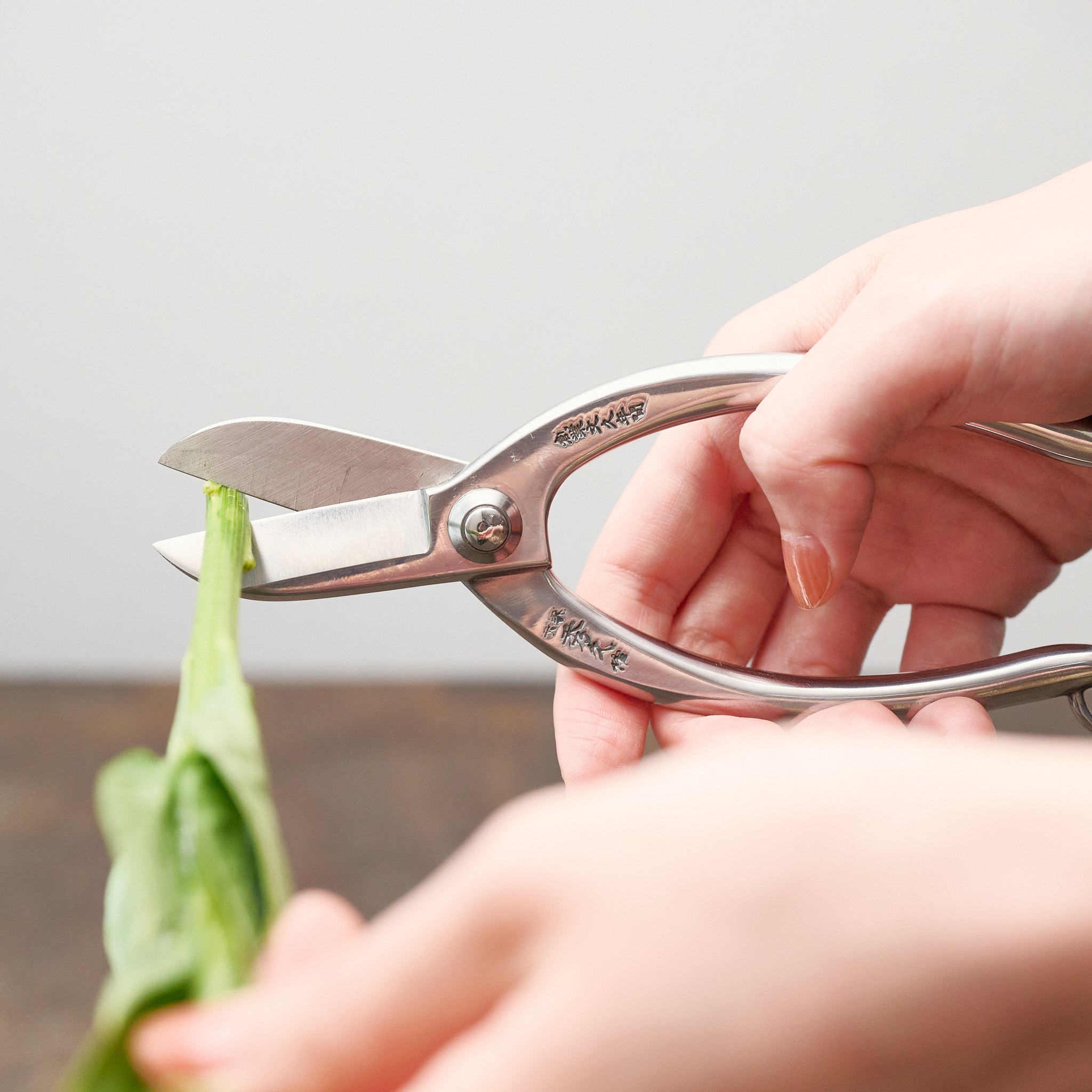 外山刃物 ｜ 切れ味抜群、一生ものになる花鋏