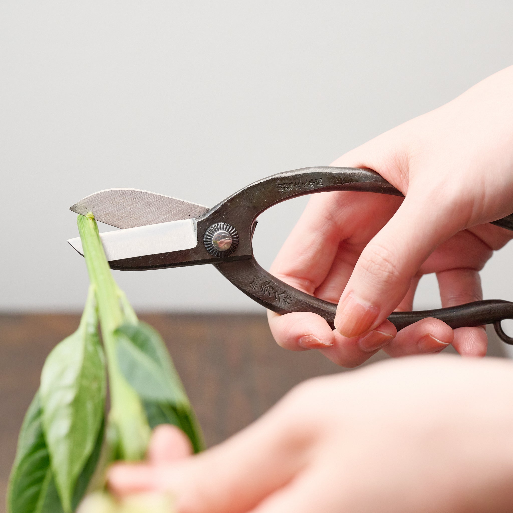 外山刃物 ｜ 切れ味抜群、一生ものになる花鋏