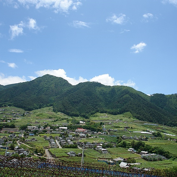 グレイス甲州 ｜ 世界が認めたワイナリーの傑作白ワイン