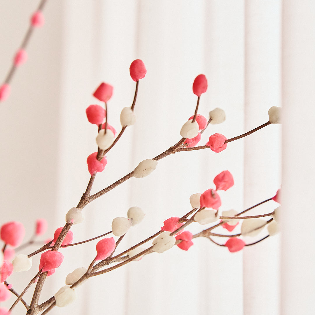 【数量限定】お正月の枝もの 花餅「なみだ」