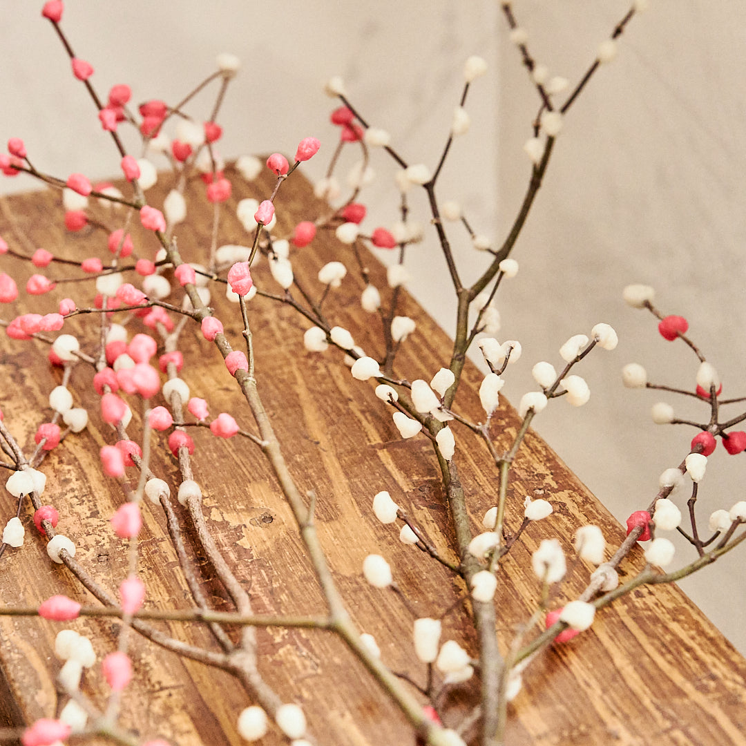 【数量限定】お正月の枝もの 花餅「なみだ」