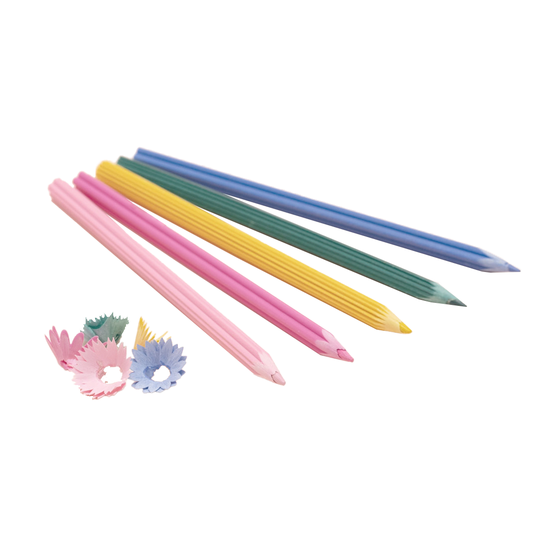 花色鉛筆 ｜ 削りかすから花びらが生まれる色鉛筆