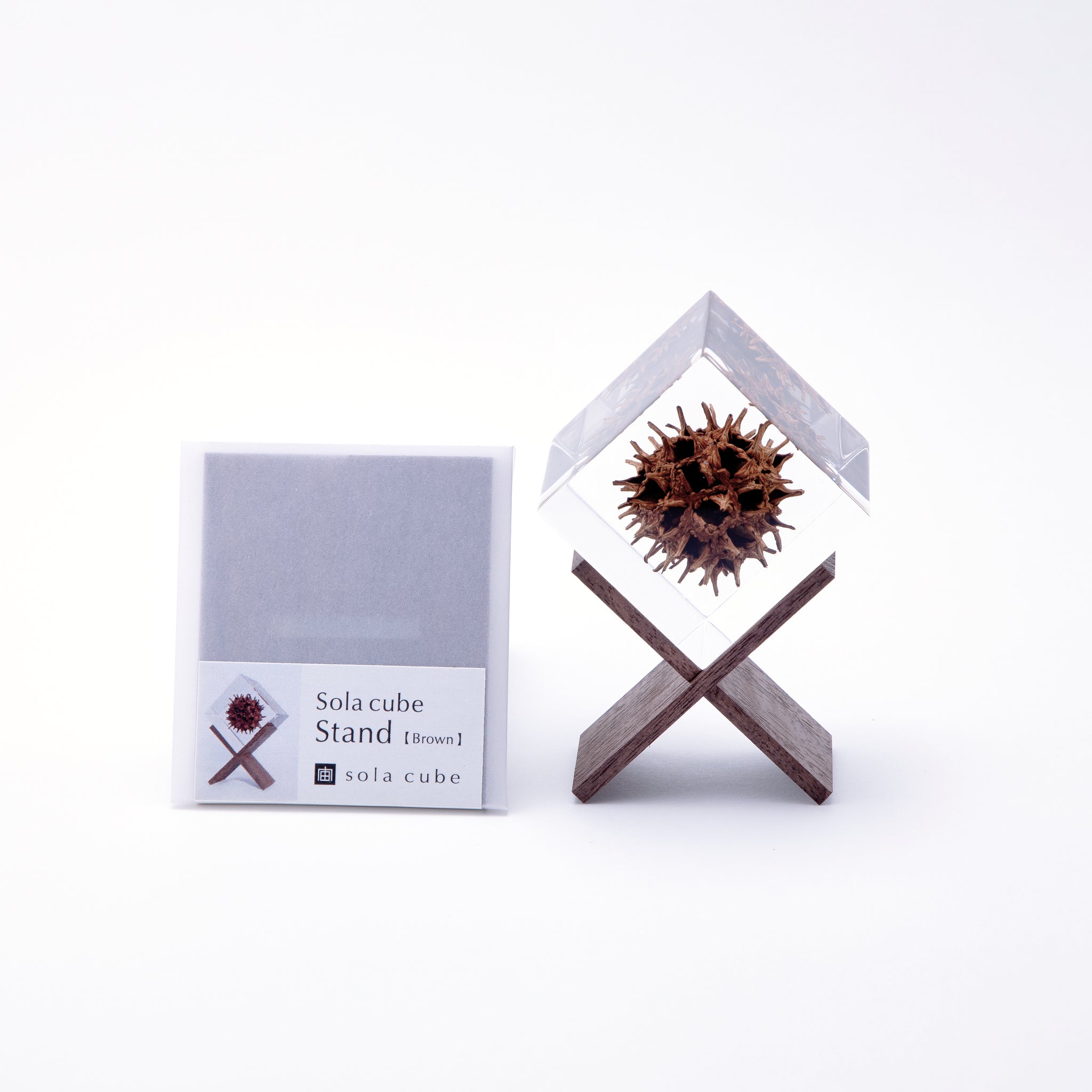 Sola cube Stand ｜ 静かに時を止めた植物のかたち
