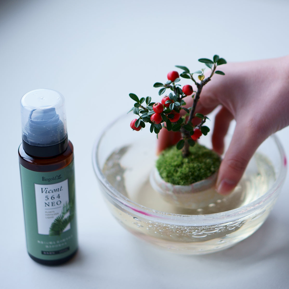 【受注販売】盆栽の成長を助ける液肥・活性剤 ｜SiKiTO×石木花