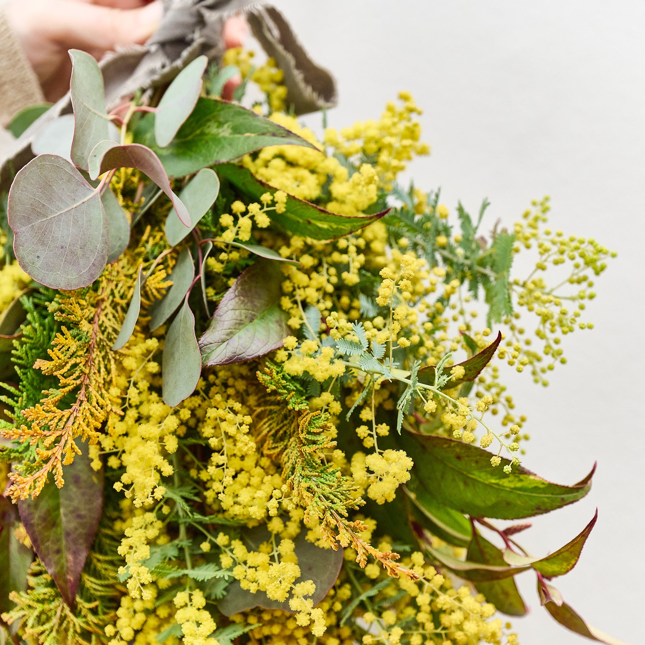 [Made to order] Mimosa Swag made with early spring branches (fresh flowers)