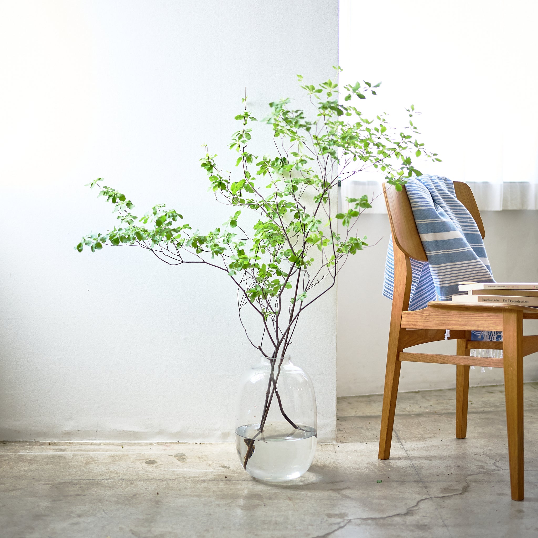 Balloon ｜ ぽわんと愛らしいフォルムの枝もの花器