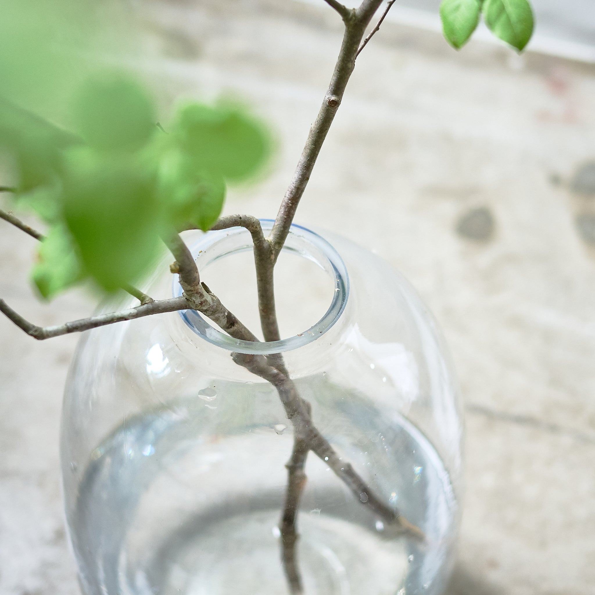 Balloon ｜ ぽわんと愛らしいフォルムの枝もの花器