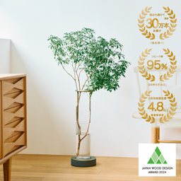 TOP_wooddesign_30-08_256x.png?