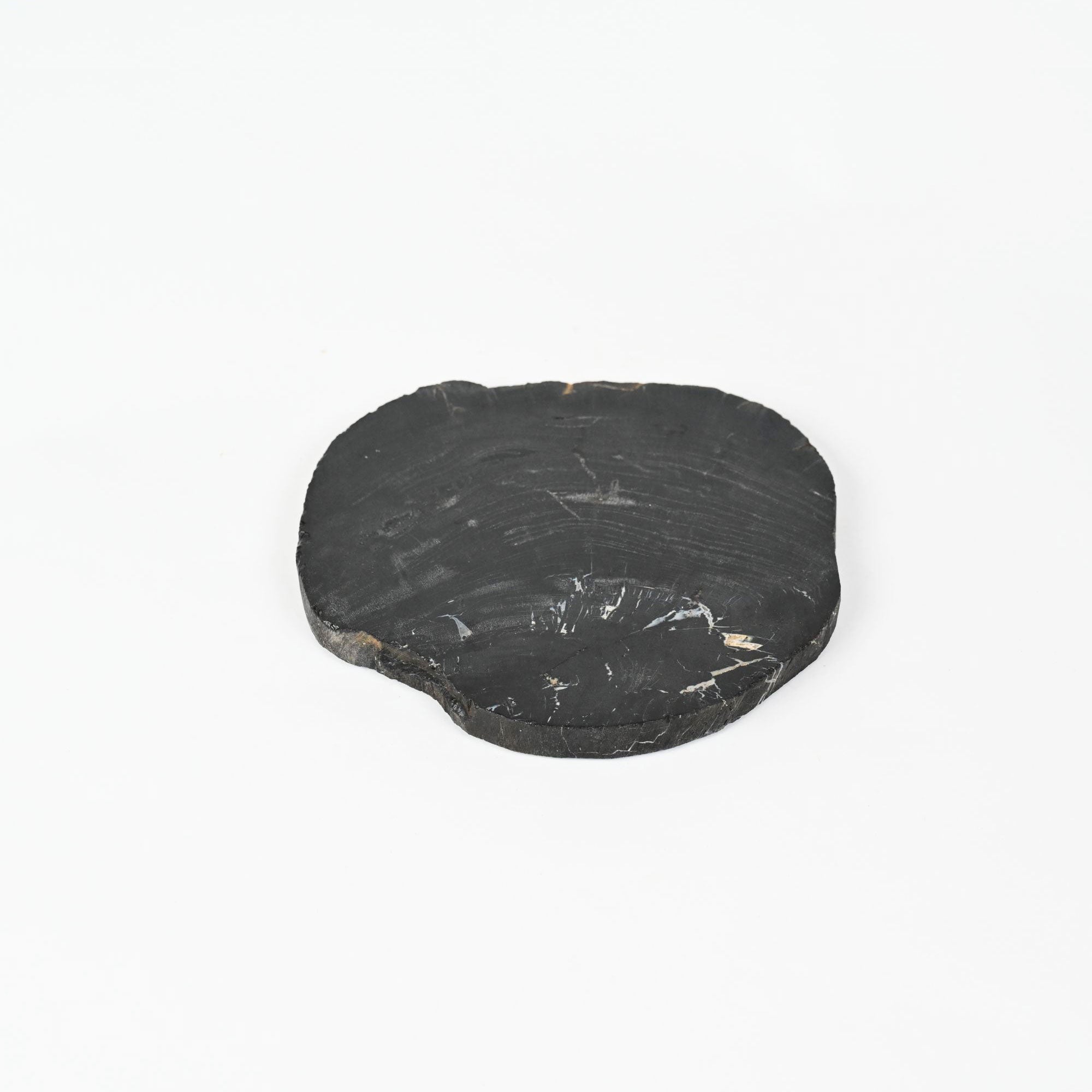 Petrified Wood Plate, Size M | A unique piece, shaped by time, easy to handle
