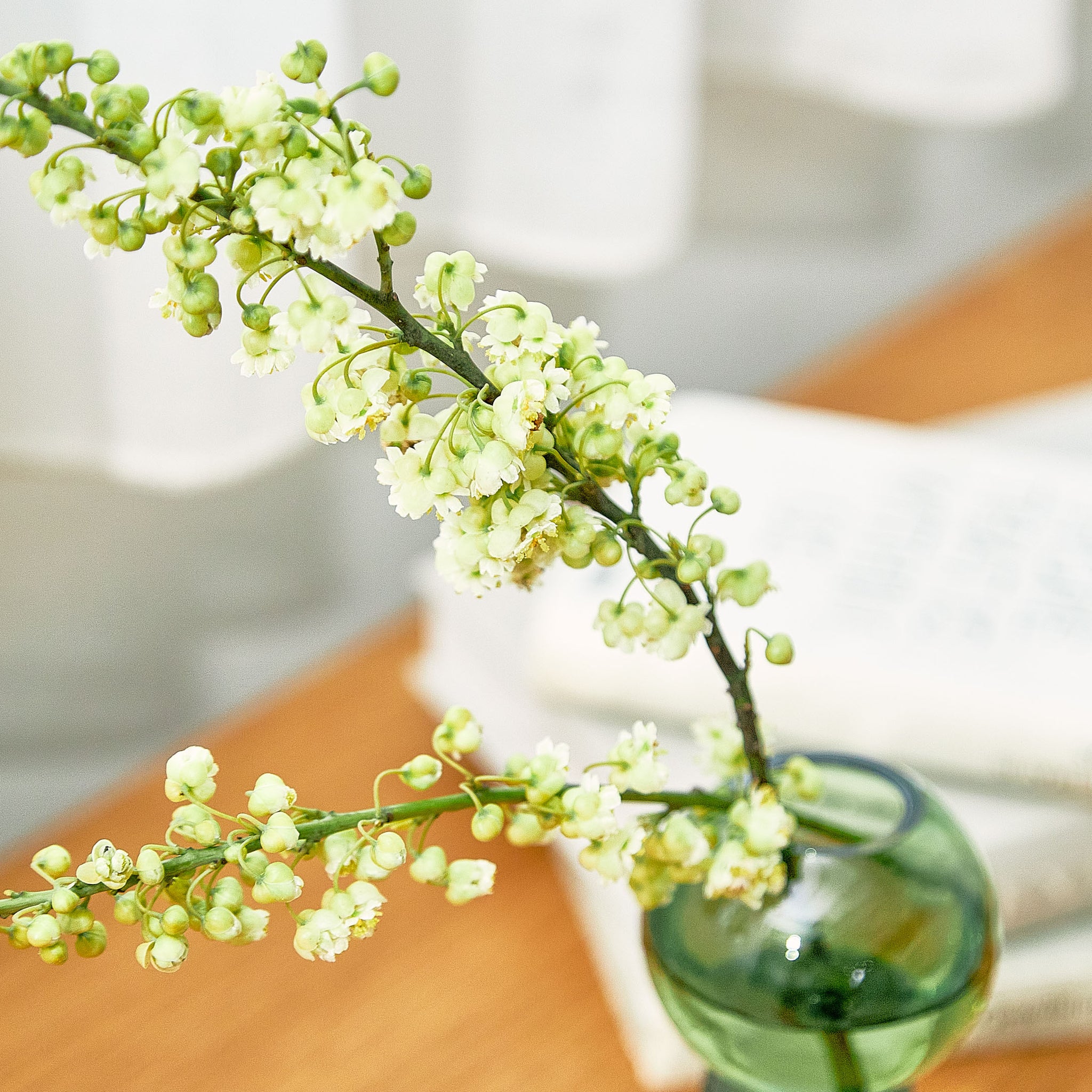 ICON ｜ アイコニックなシルエットのガラス花器