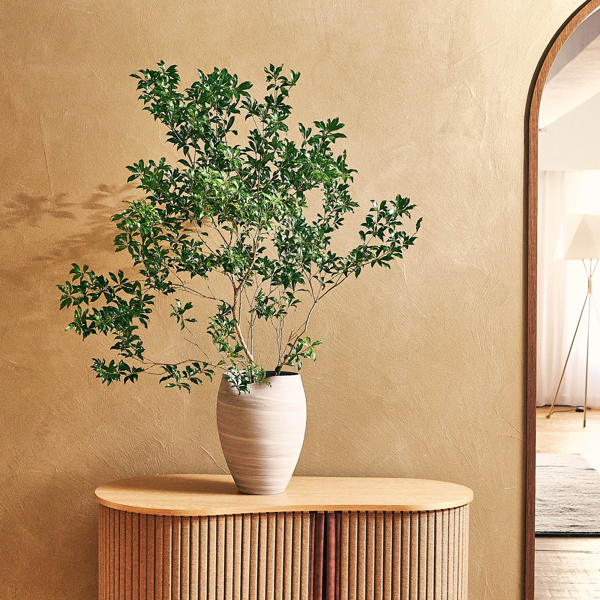 【先行販売】EDA POD ながれ ｜ 水替えしやすい壺型の枝もの花器