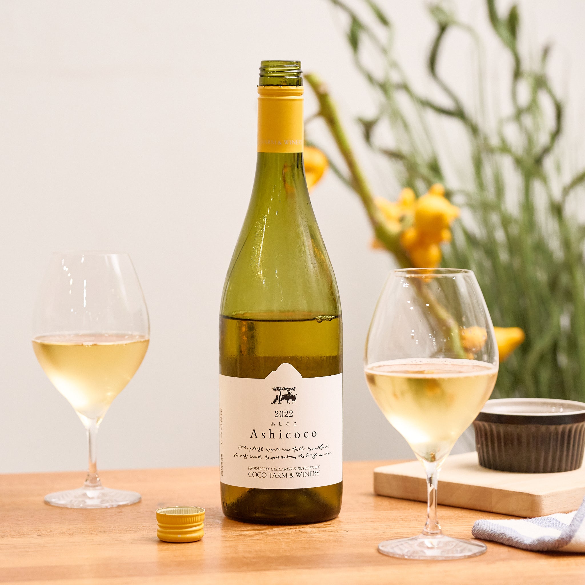 2024 Ashicoco ｜ 日本固有ぶどうで丁寧に造られたフルーティな白ワイン