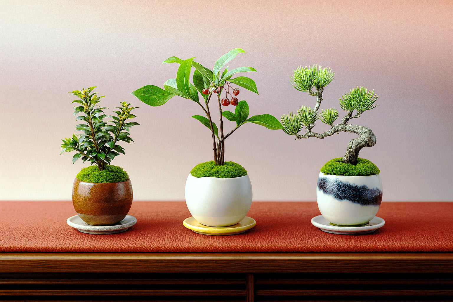 SiKiTO（シキト）公式オンラインストア