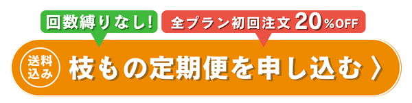 Button Image