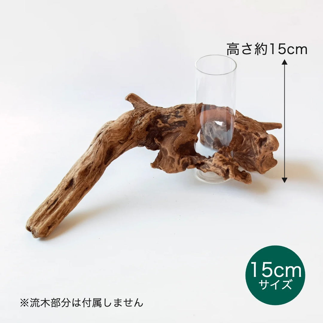 ガラスシリンダー単品｜CUBE・流木花器 KOKU. 共通