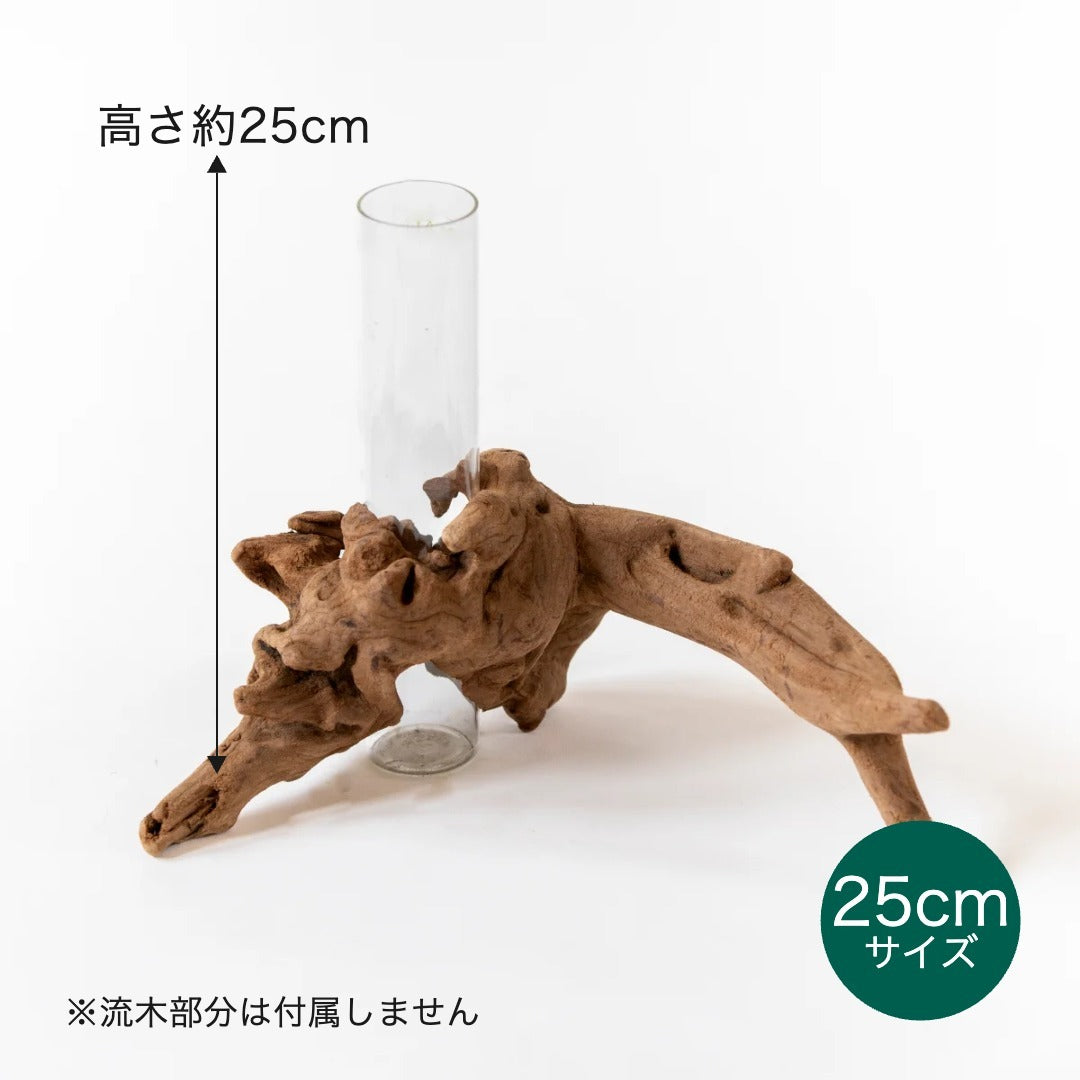 ガラスシリンダー単品｜CUBE・流木花器 KOKU. 共通